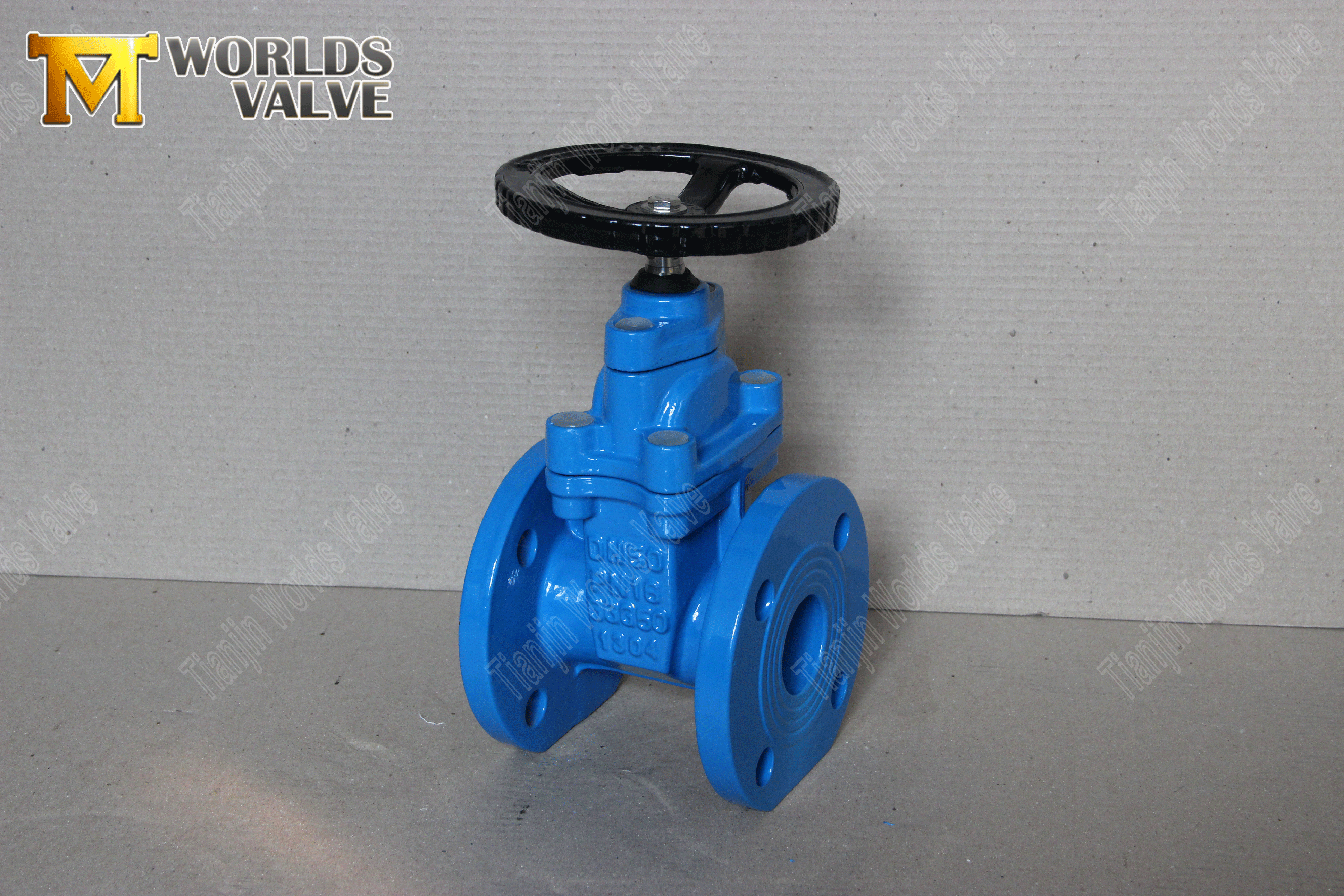 Gate Valve Supplied by Tianjin Worlds Valve AWWA-C509-GATE VALVE-COM-SERETO RESILIANTE