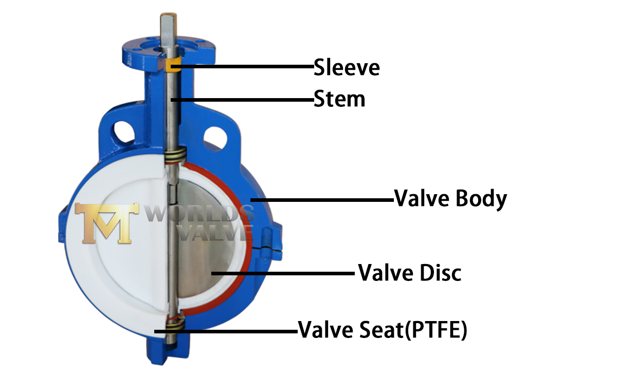 V&aacute;lvula de borboleta