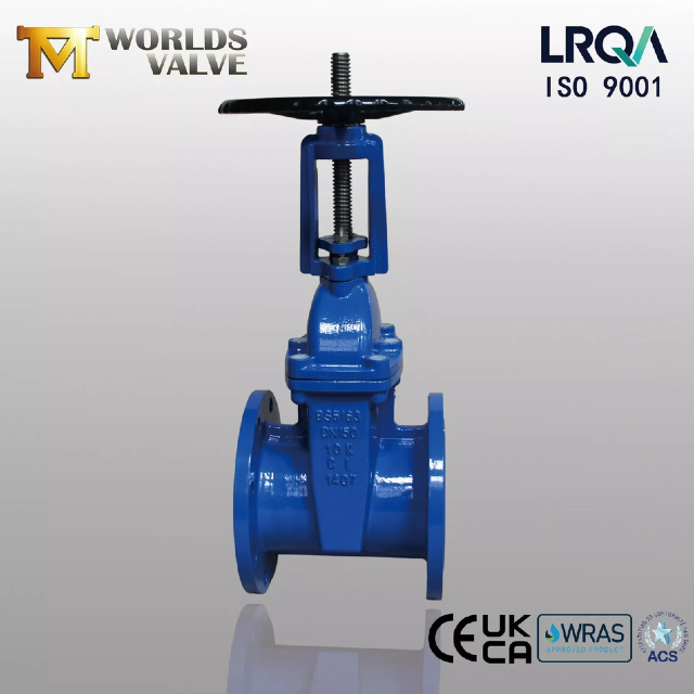 ResilientSeatedGateValve Vs Válvula de gaveta com sede de metal – O que você deve saber?