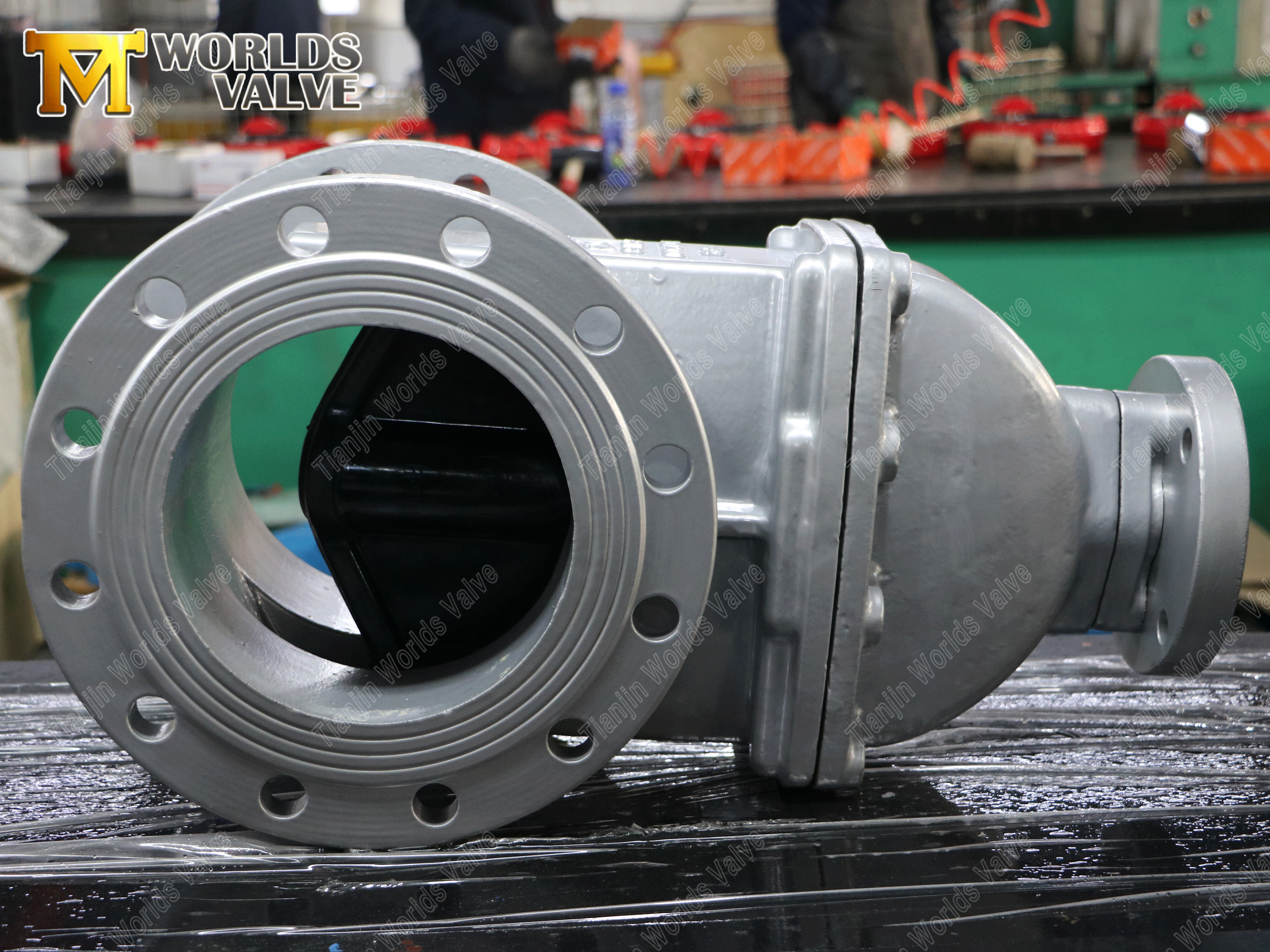 V&aacute;lvula de port&atilde;o aberto 2