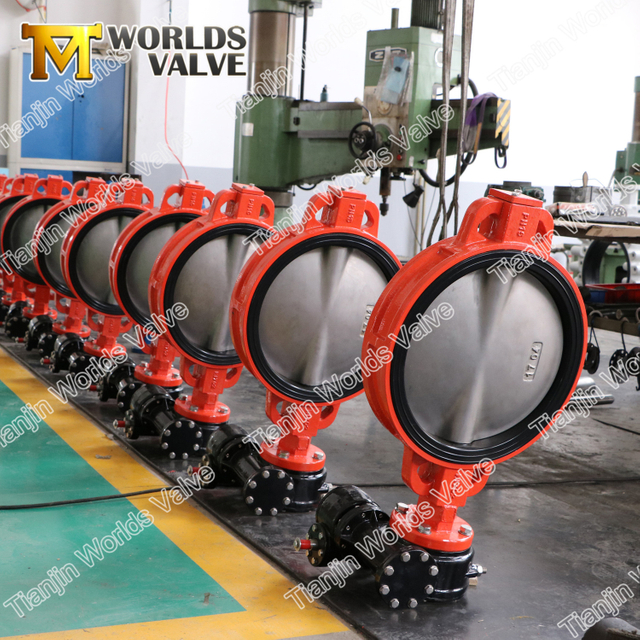 Certificado de Borboleta da borboleta do assento de borracha do forro solto para a água potável