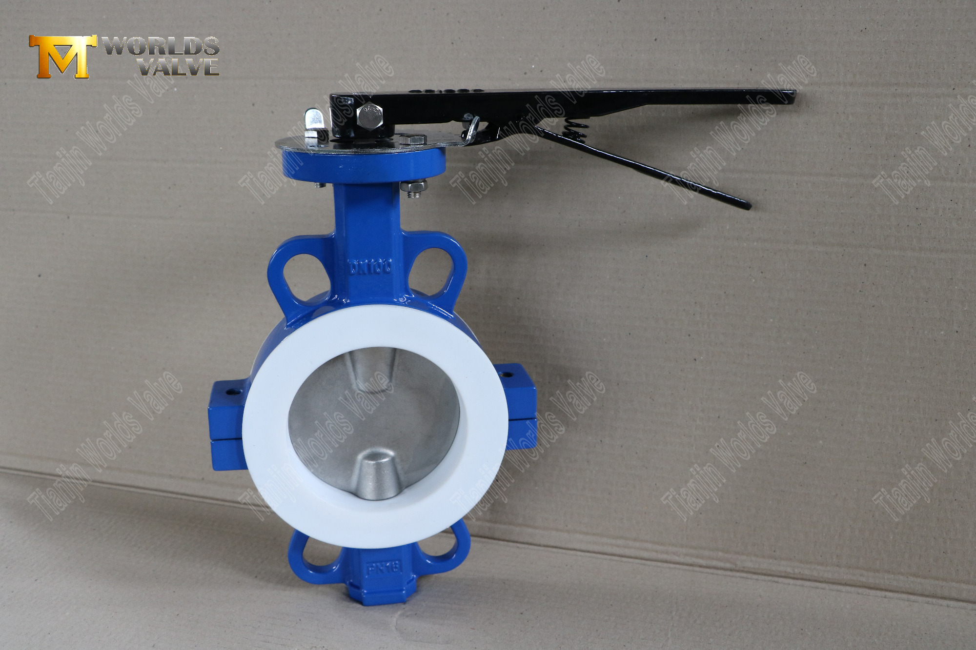 DN100-TEFLON-LINDED-WAFER-SPLIT-BOY-BTERFLY-VALVES-CORROSI&Atilde;O Resistente-Flow-Control- (1)