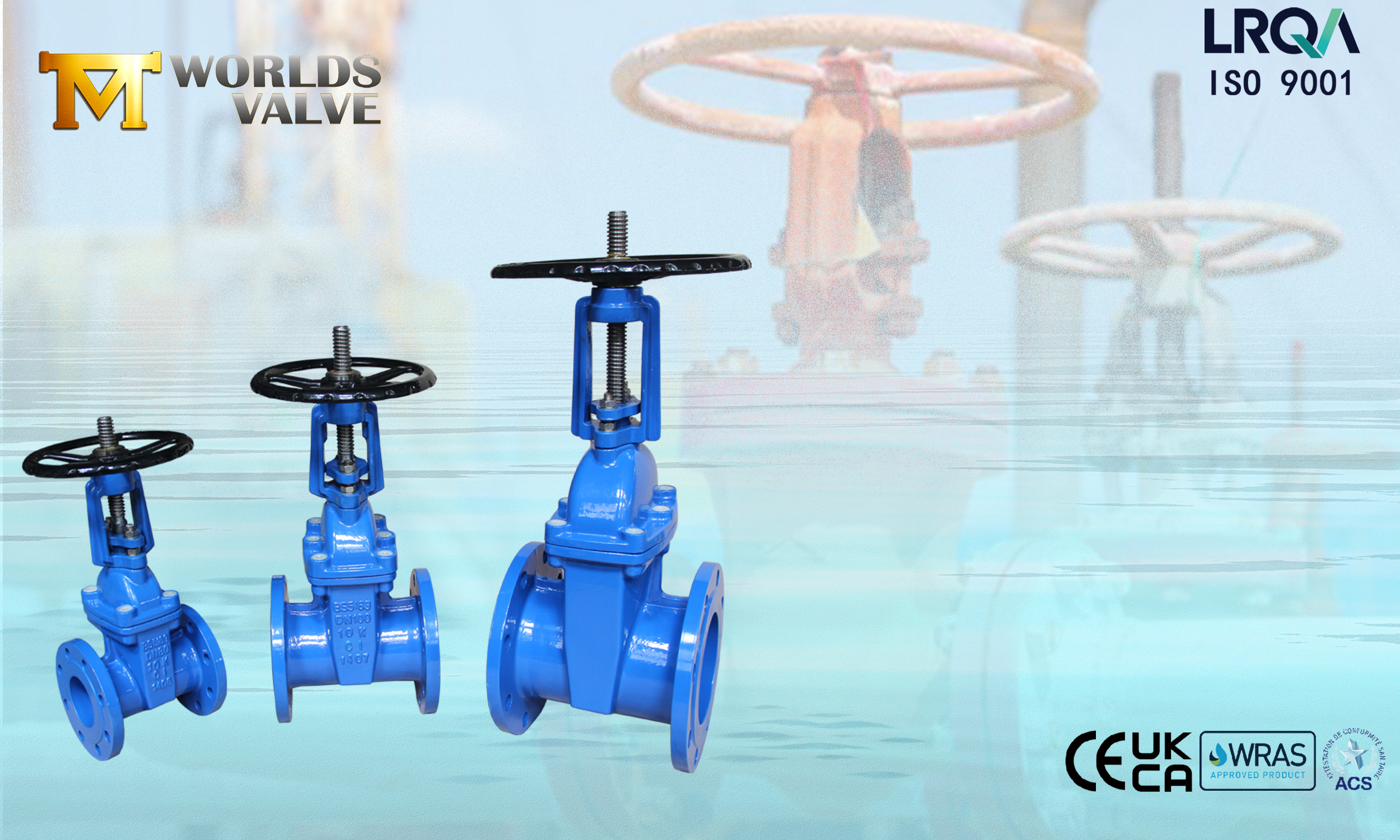 ASSIS ASSILIANTE Válvulas de portão de caule para ascensão BS 5163