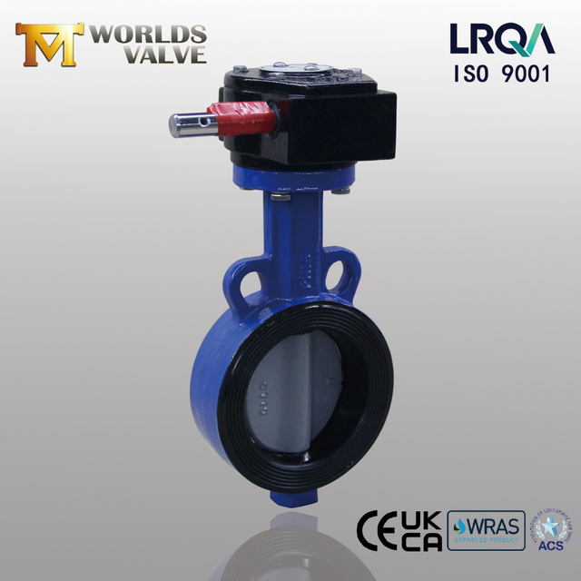 Válvula de borboleta com bolas com disco revestido de nylon e corpo WCB | Resistência à corrosão econômica