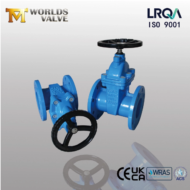 Explorando os tipos e recursos especiais de ResilientSeatedGateValves