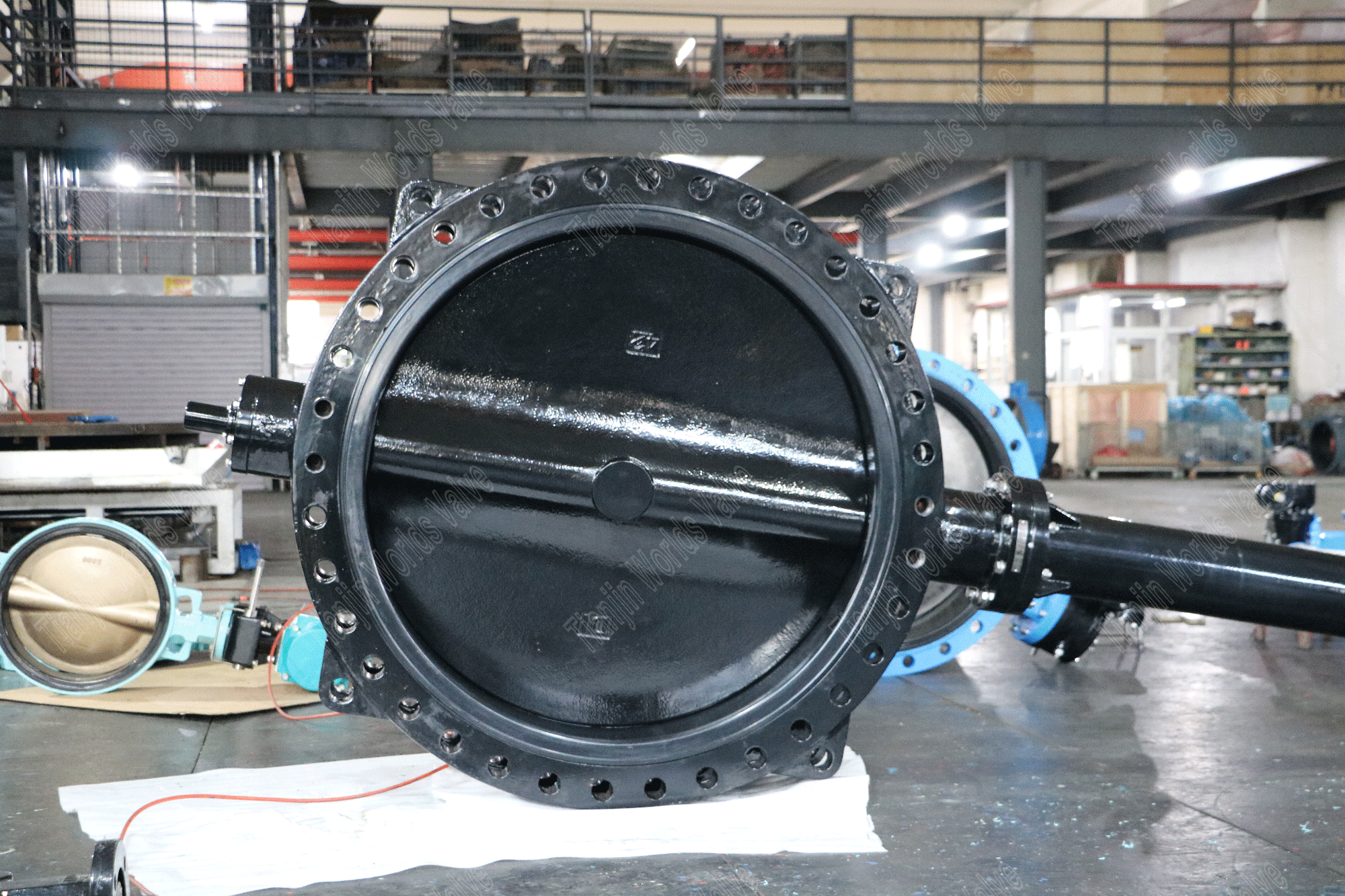 DI DIS com v&aacute;lvula de borboleta revestida de nylon com eixo de extens&atilde;o (2)