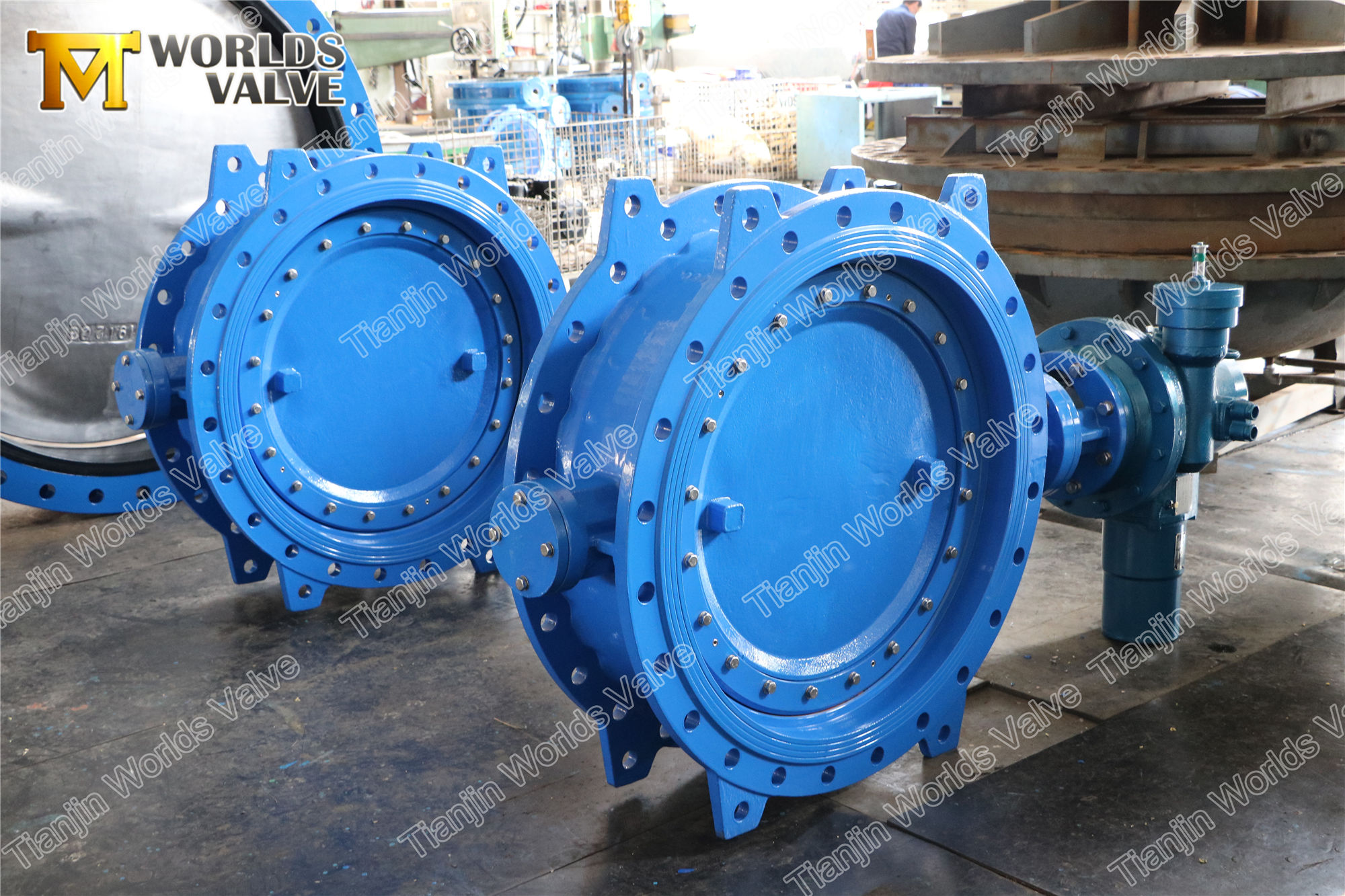6 El&eacute;trica Exc&ecirc;ntrica Flange Flange Borboleta EN558 Series 14