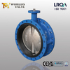 Válvula borboleta de flange dupla 18" com disco super duplex e sede de borracha vulcanizada | Flange superior ISO 5211