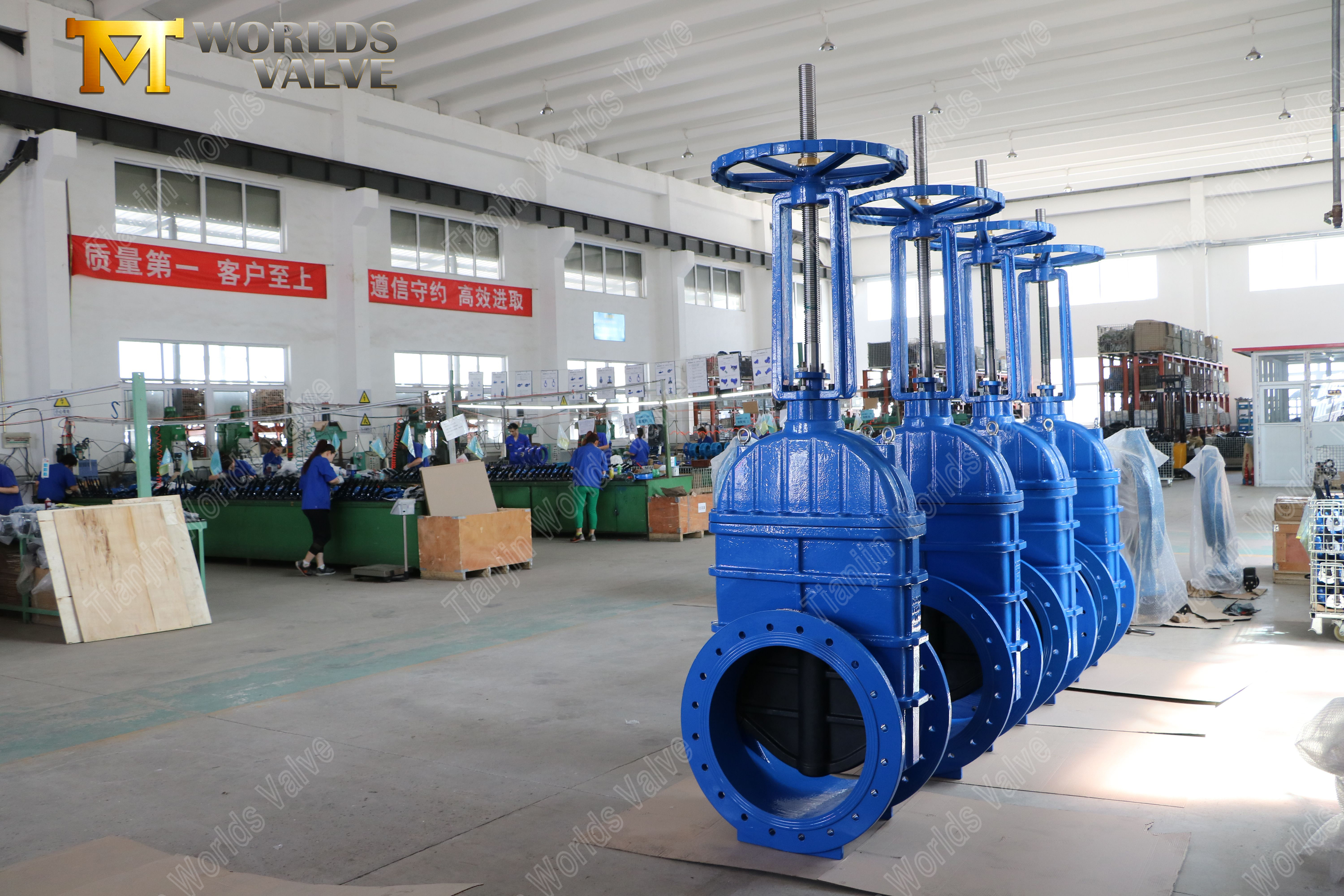 V&aacute;lvula de gaveta de haste ascendente flangeada com sede em EPDM e operador de caixa de engrenagens (7)