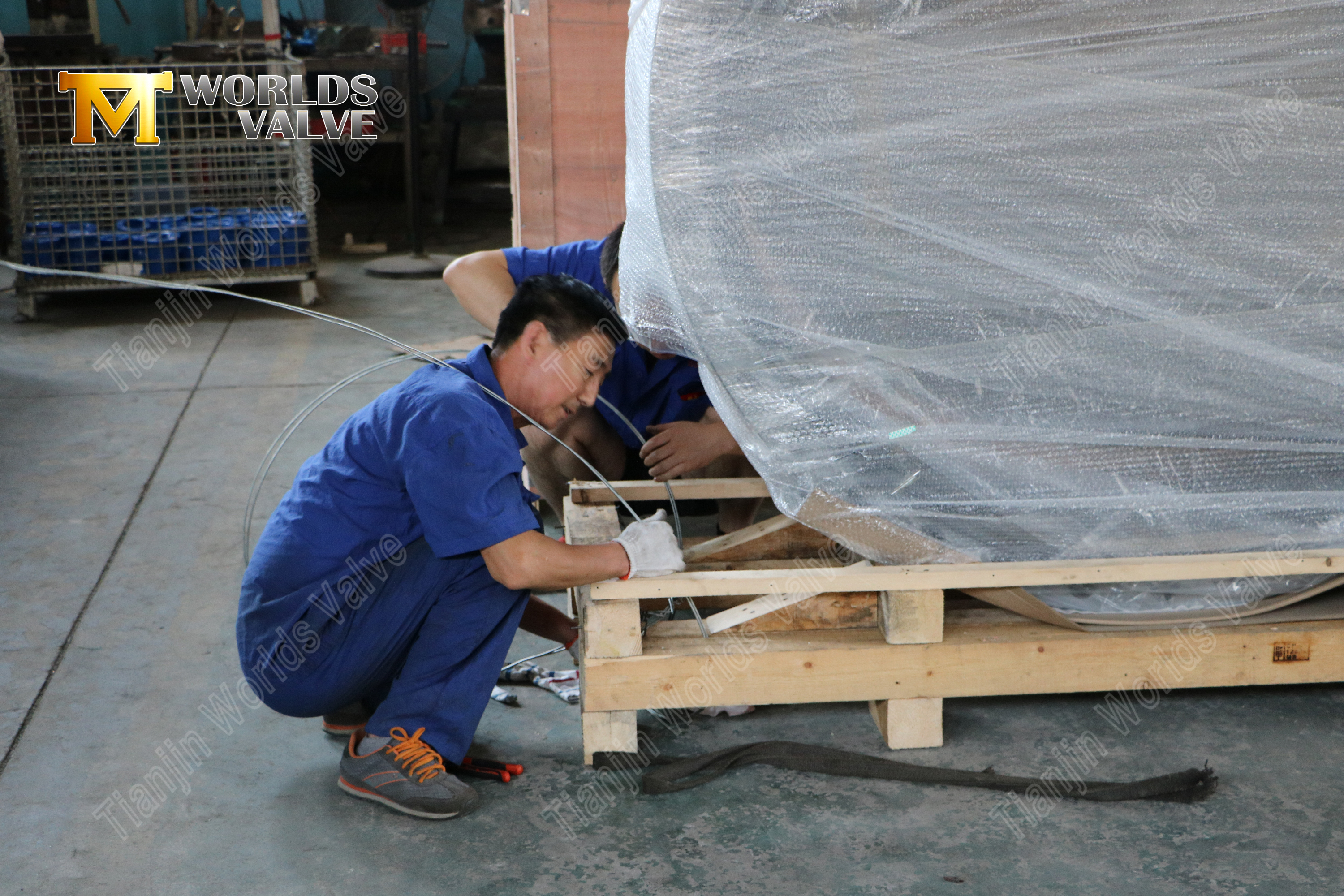 V&aacute;lvula borboleta com flange dupla de disco de alum&iacute;nio e bronze (4)