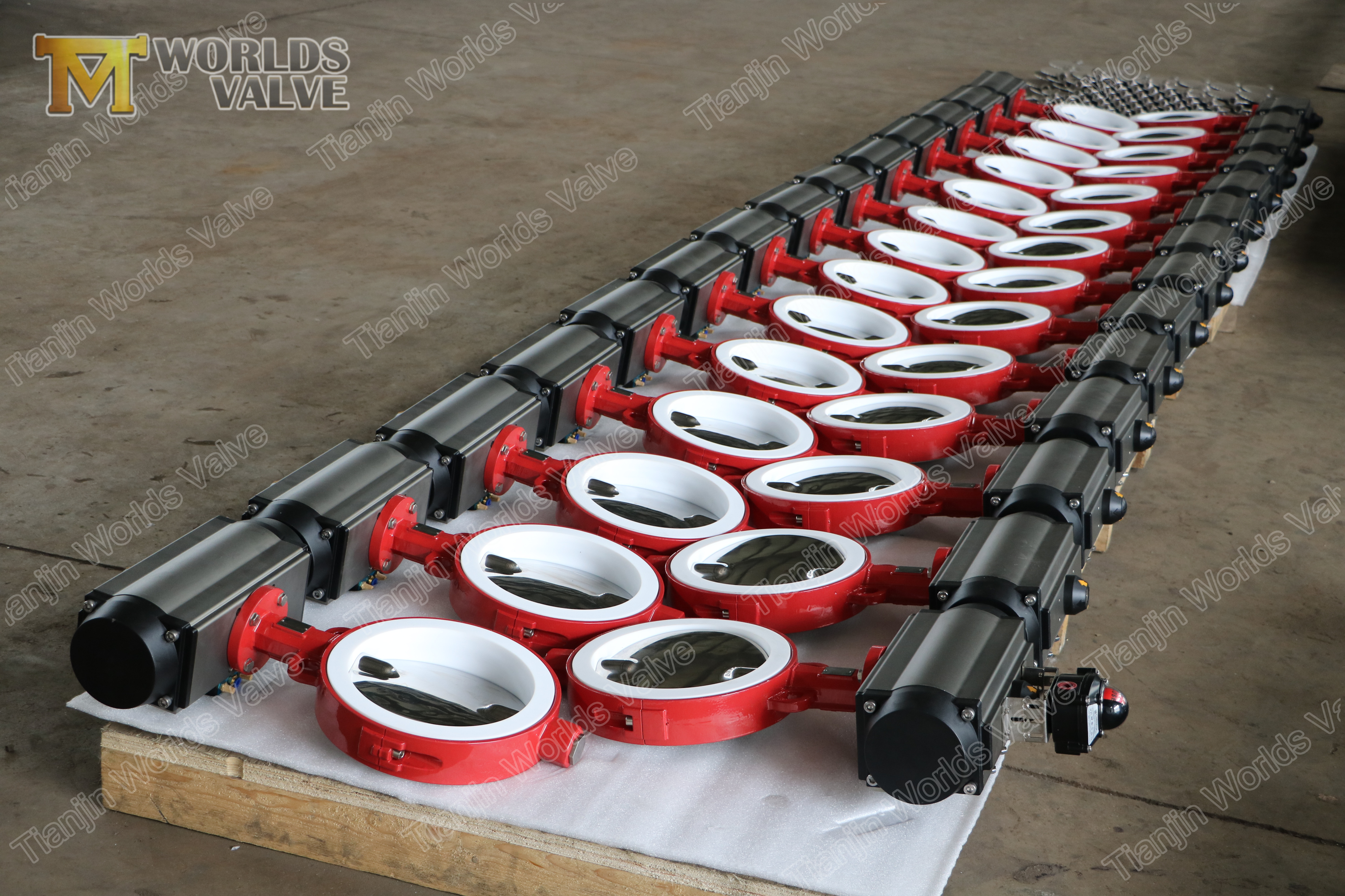 2 Disco polido de a&ccedil;o inoxid&aacute;vel e assento PTFE, alto desempenho