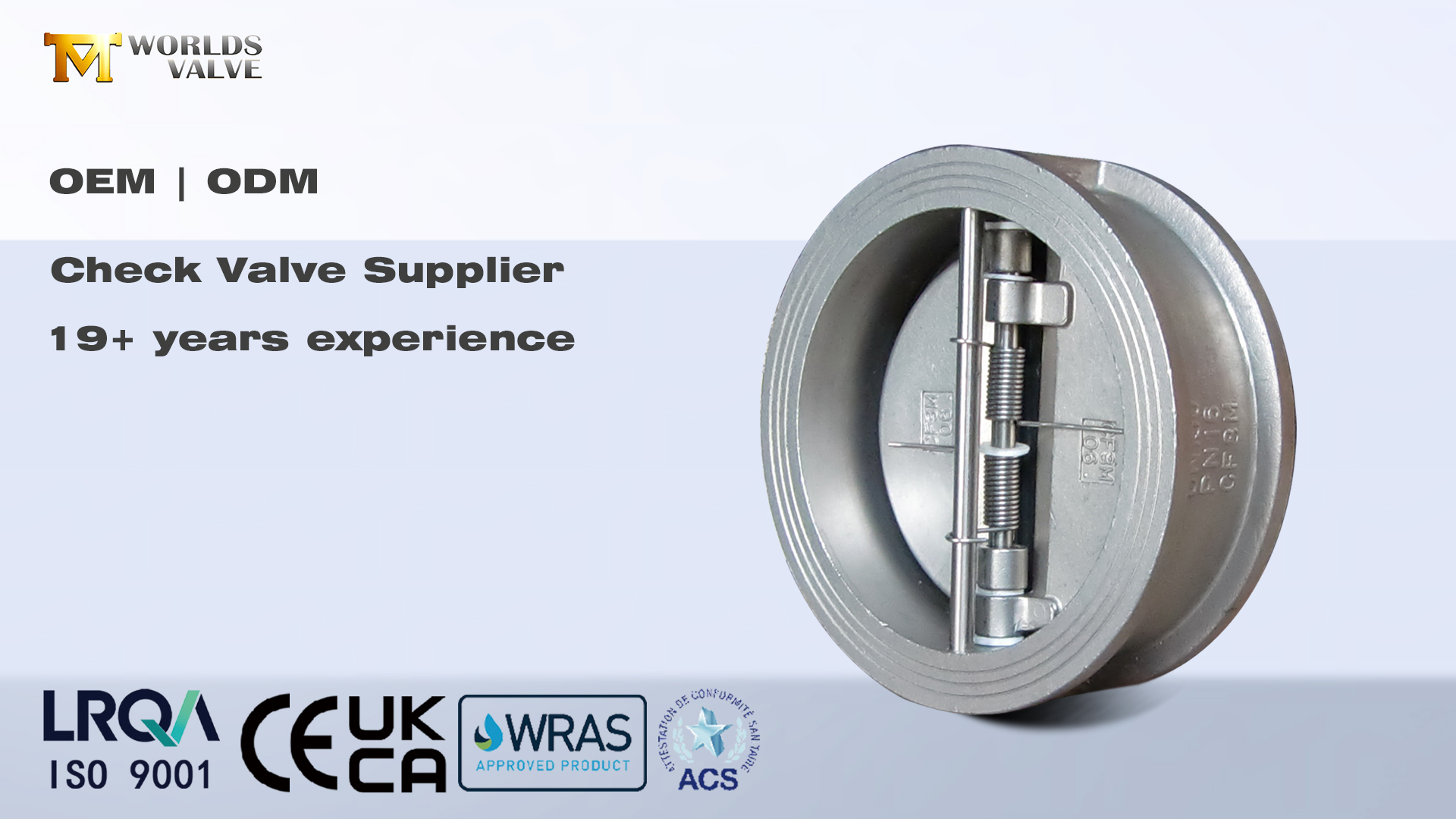 Válvulas de retenção: prevenção essencial de refluxo para sistemas industriais | Válvula Mundial