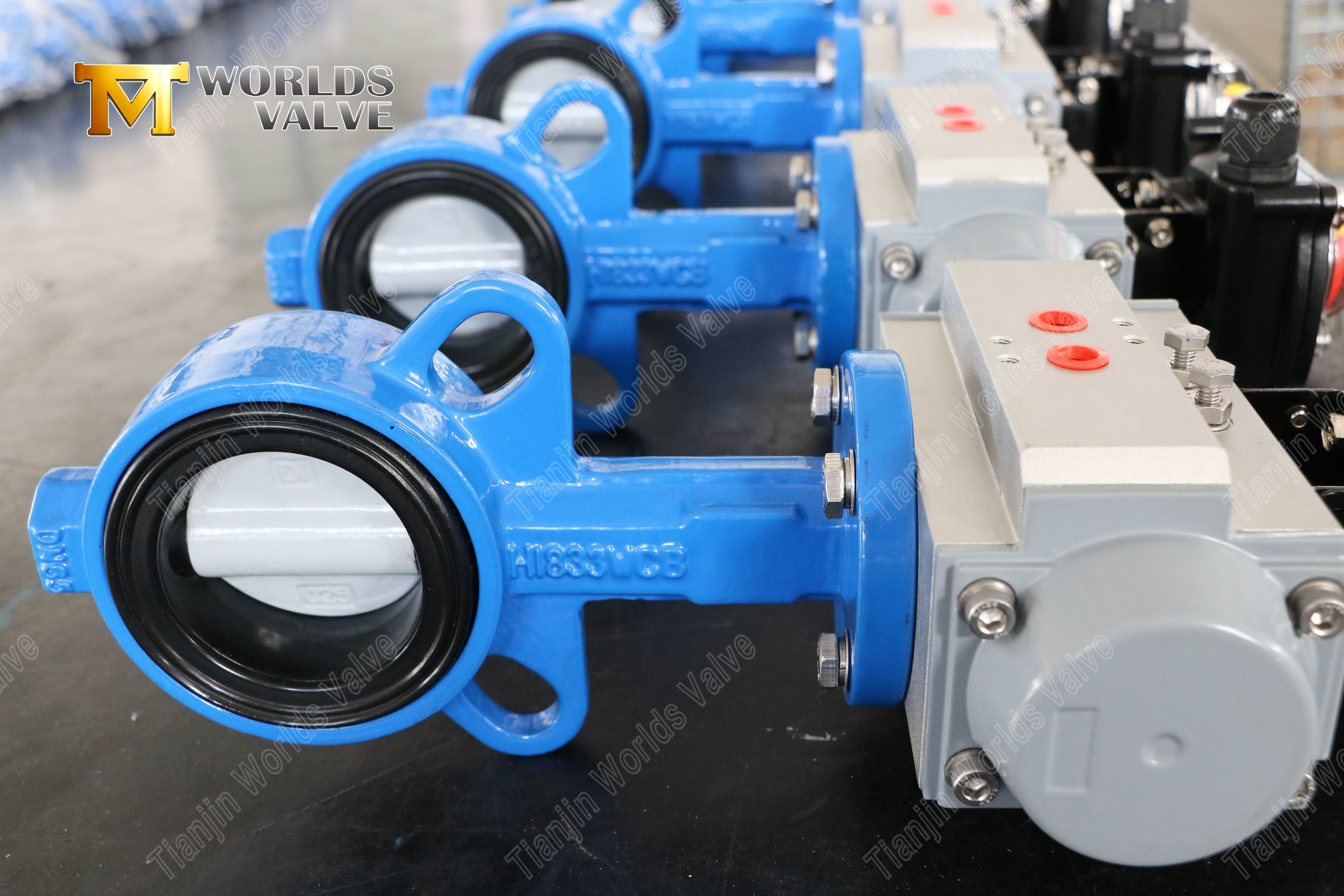 V&aacute;lvula de borboleta com bolas com disco revestido de nylon e resist&ecirc;ncia ao corros&atilde;o econ&ocirc;mica do corpo WCB-1 (3)