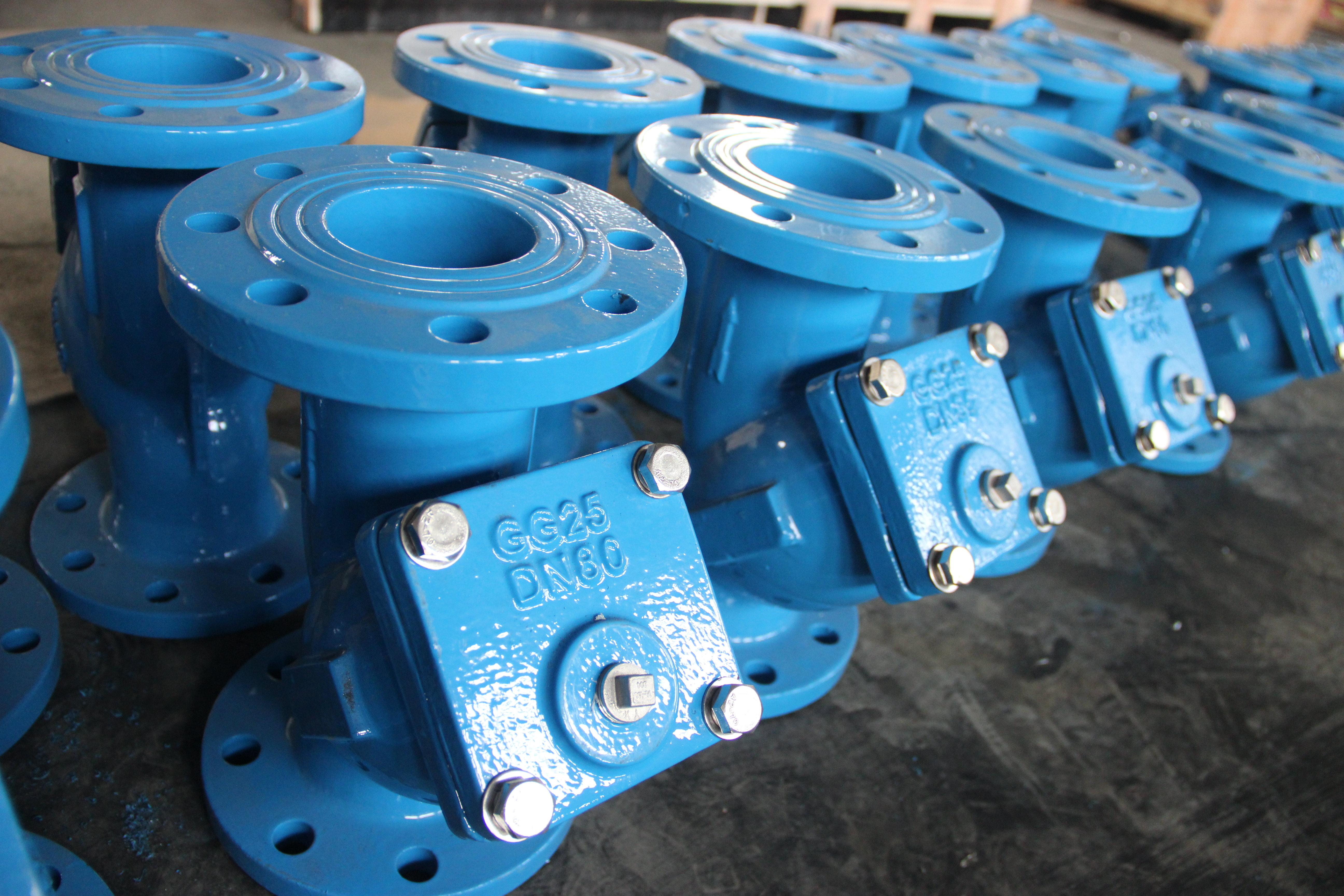 DN80 Y Tipo Filtro Corpo de ferro d&uacute;ctil Conex&atilde;o flangeada Prote&ccedil;&atilde;o de tubula&ccedil;&atilde;o industrial (3).JPG