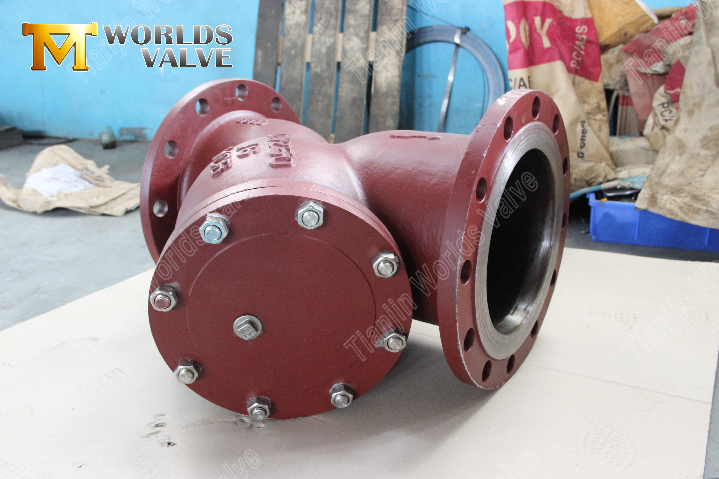 Filtro tipo Y flangeado WCB prote&ccedil;&atilde;o de tubula&ccedil;&atilde;o industrial de a&ccedil;o carbono (8)