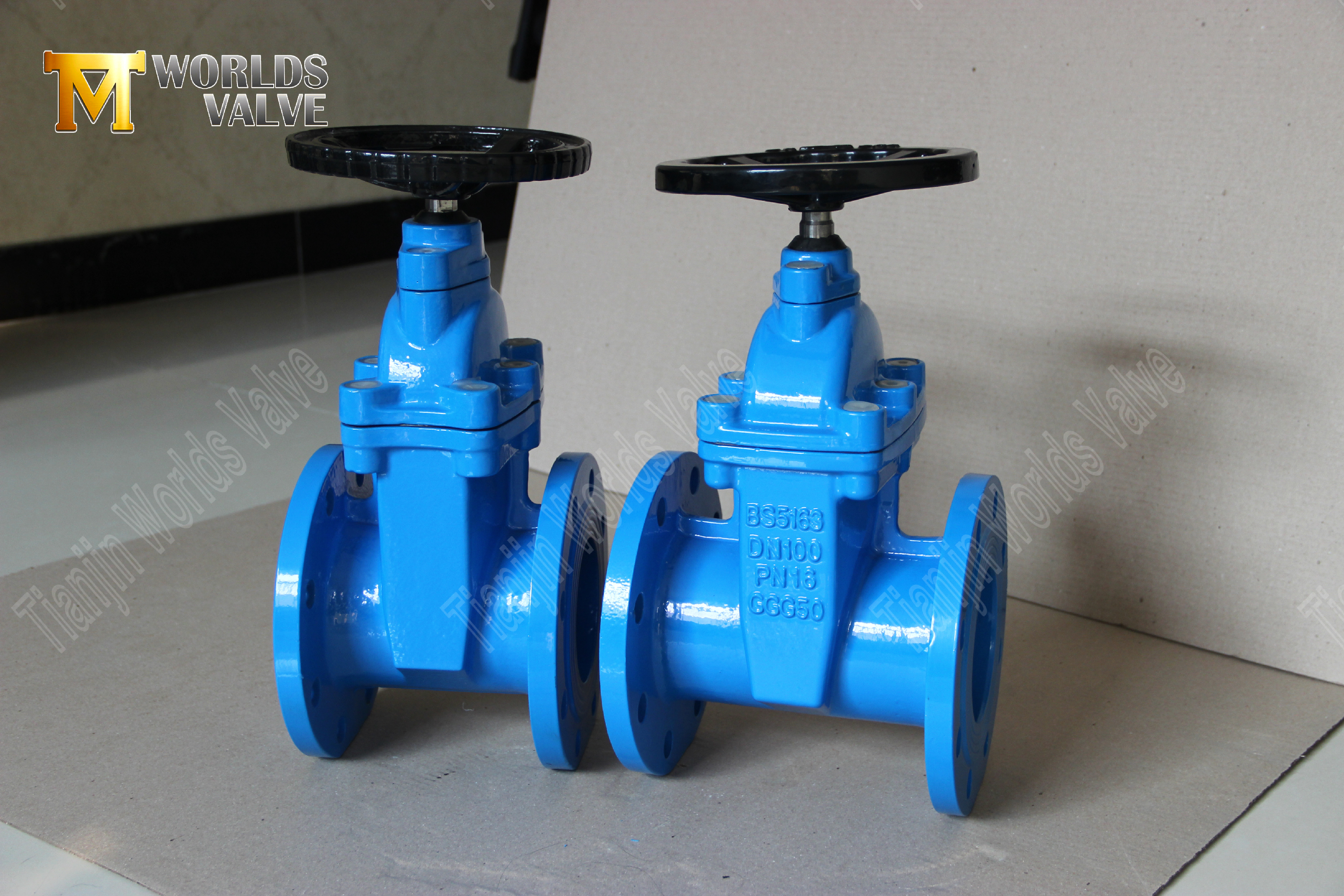 v&aacute;lvulas de port&atilde;o n&atilde;o aumentadas