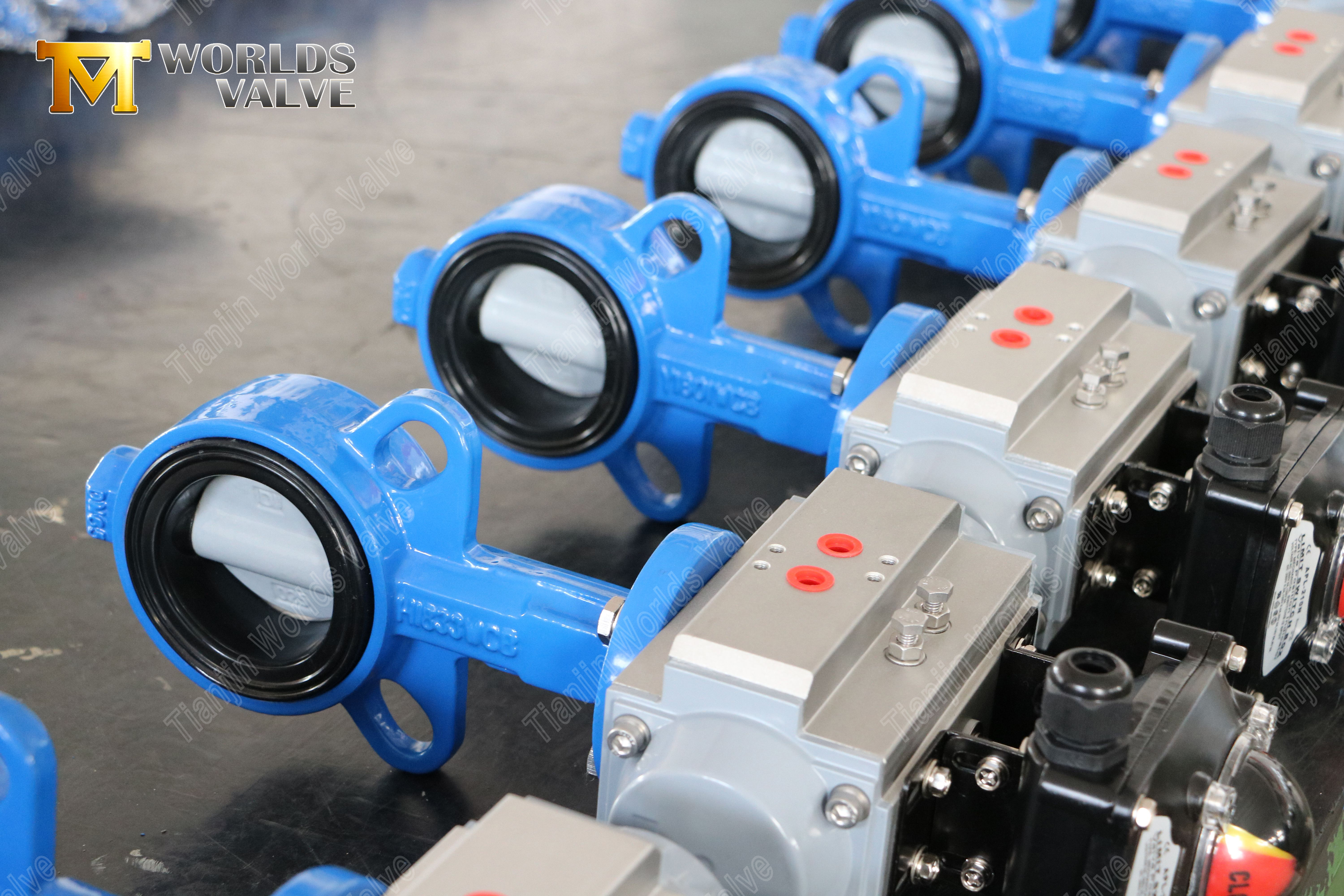 V&aacute;lvula de borboleta com bolas com disco revestido de nylon e resist&ecirc;ncia &agrave; corros&atilde;o com custo-benef&iacute;cio da WCB-EFECTIVA-1 (2)