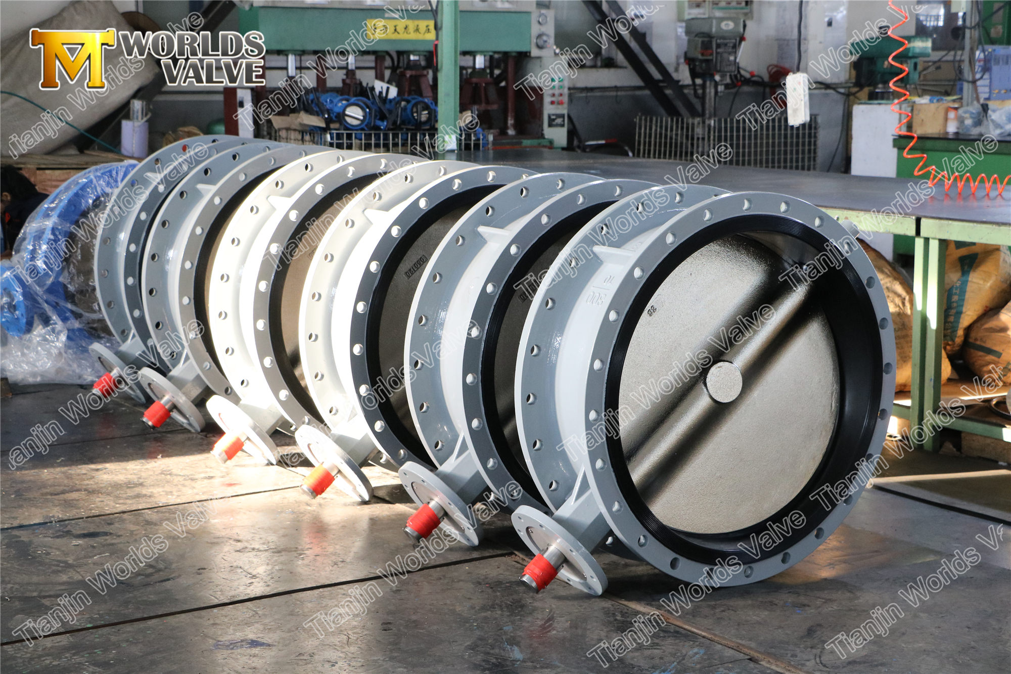 2 EN593EN558BS5155 V&aacute;lvula de borboleta dupla padr&atilde;o duplo