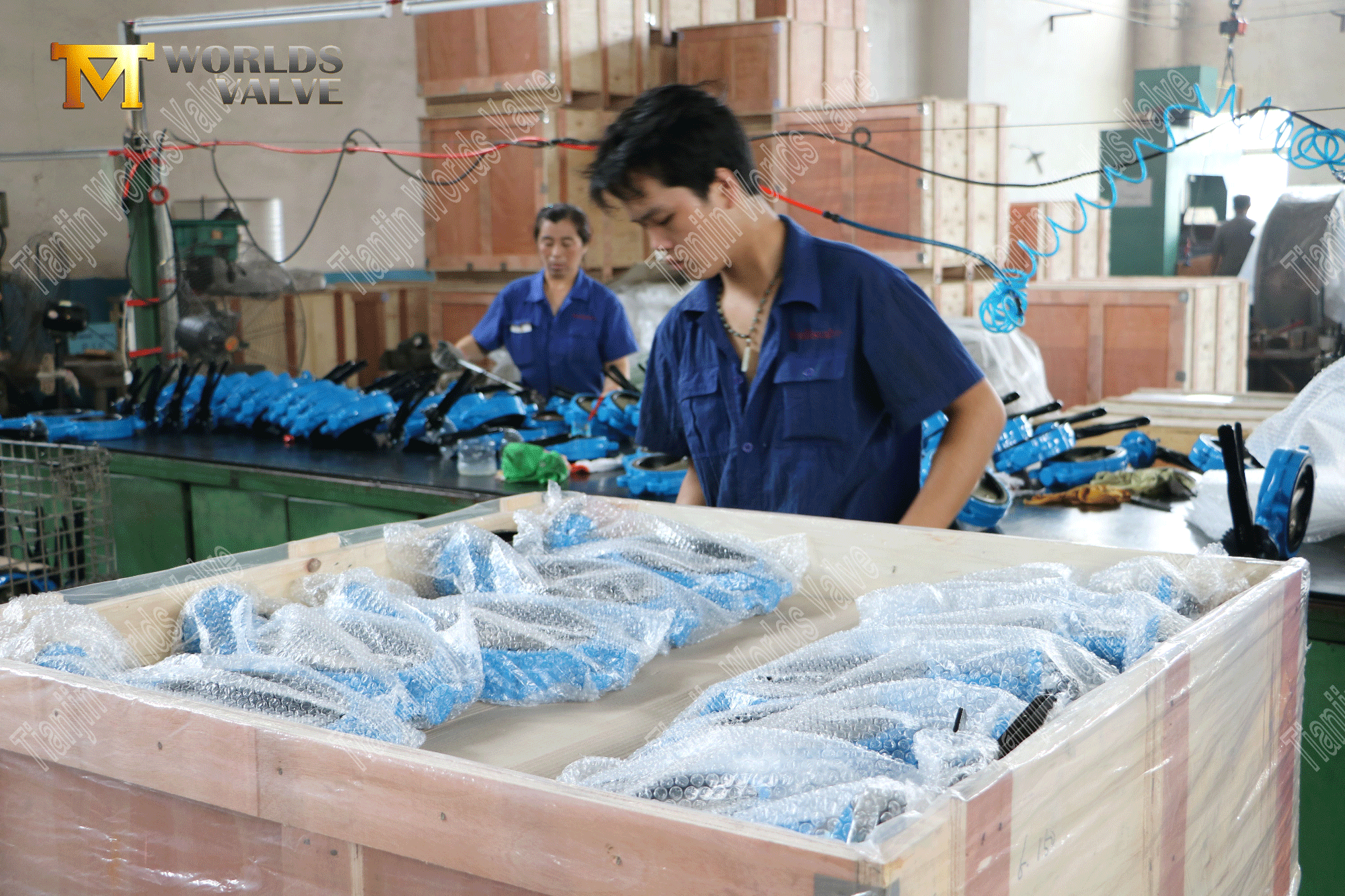 Fabricante de v&aacute;lvula de porcela - V&aacute;lvula de borboleta do tipo de bolinha de ferro fundido (8)