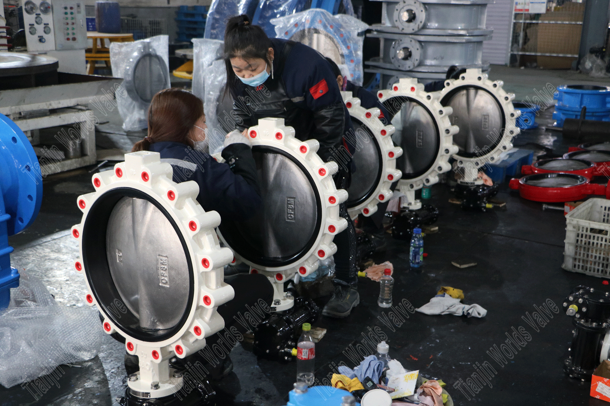 Limpeza e inspe&ccedil;&atilde;o