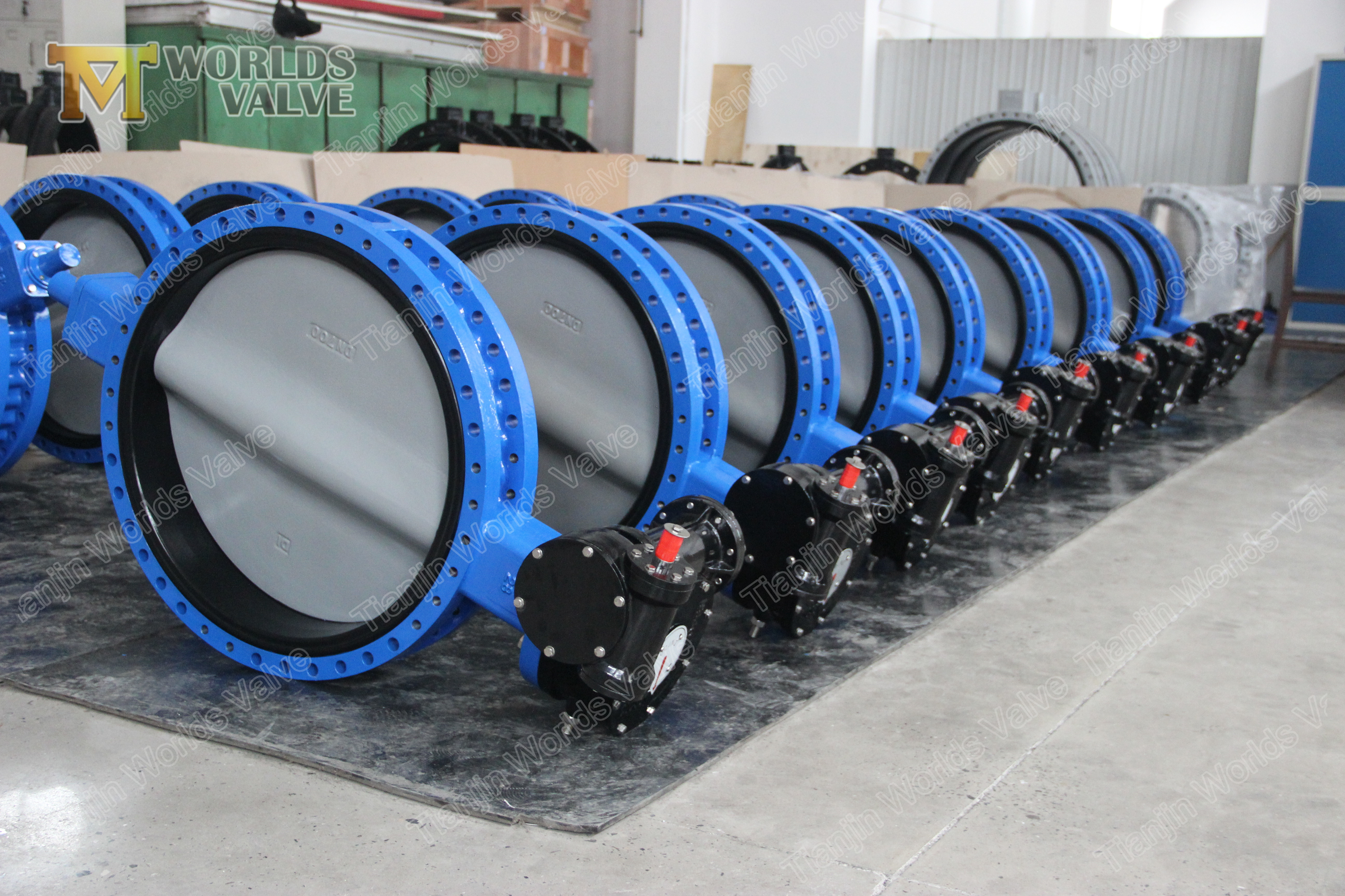 5 V&aacute;lvula de borboleta de flange duplo Cartrige API609 Class 150 PN10 PN16