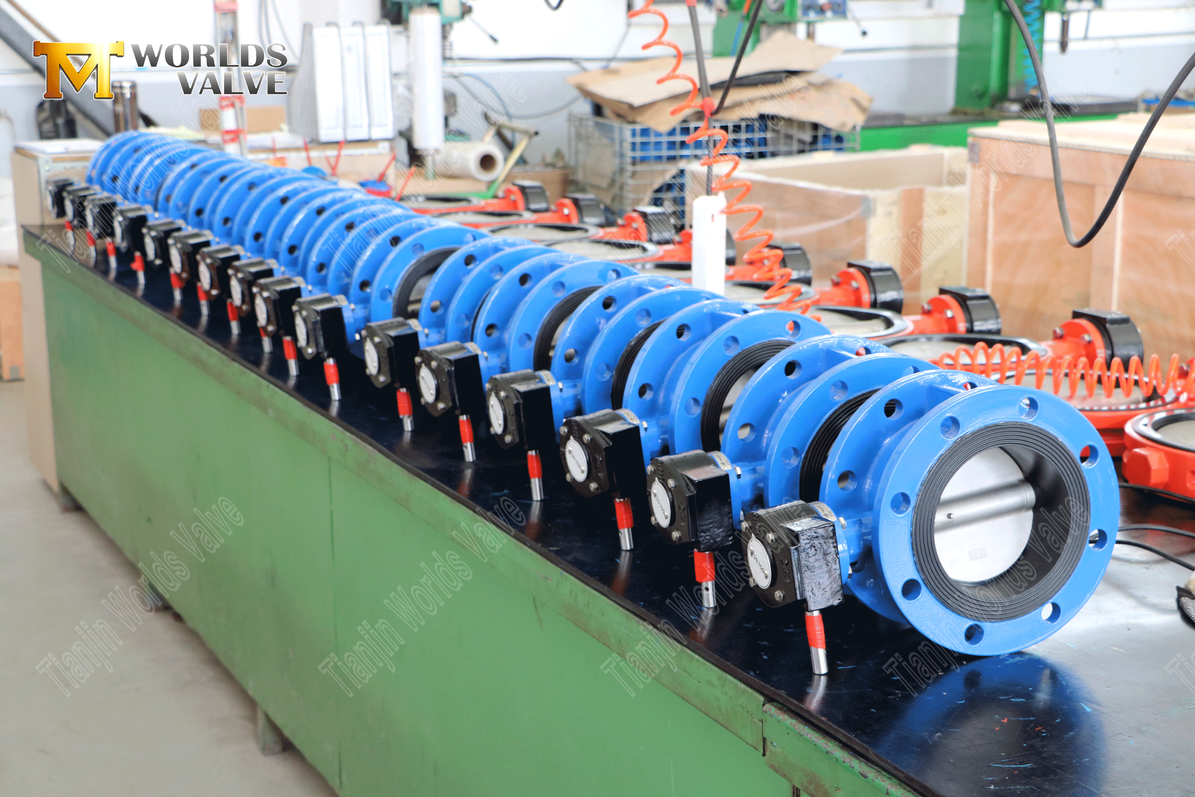 V&aacute;lvula de borboleta de flange dupla com corpo SS completo e disco-2 (2)