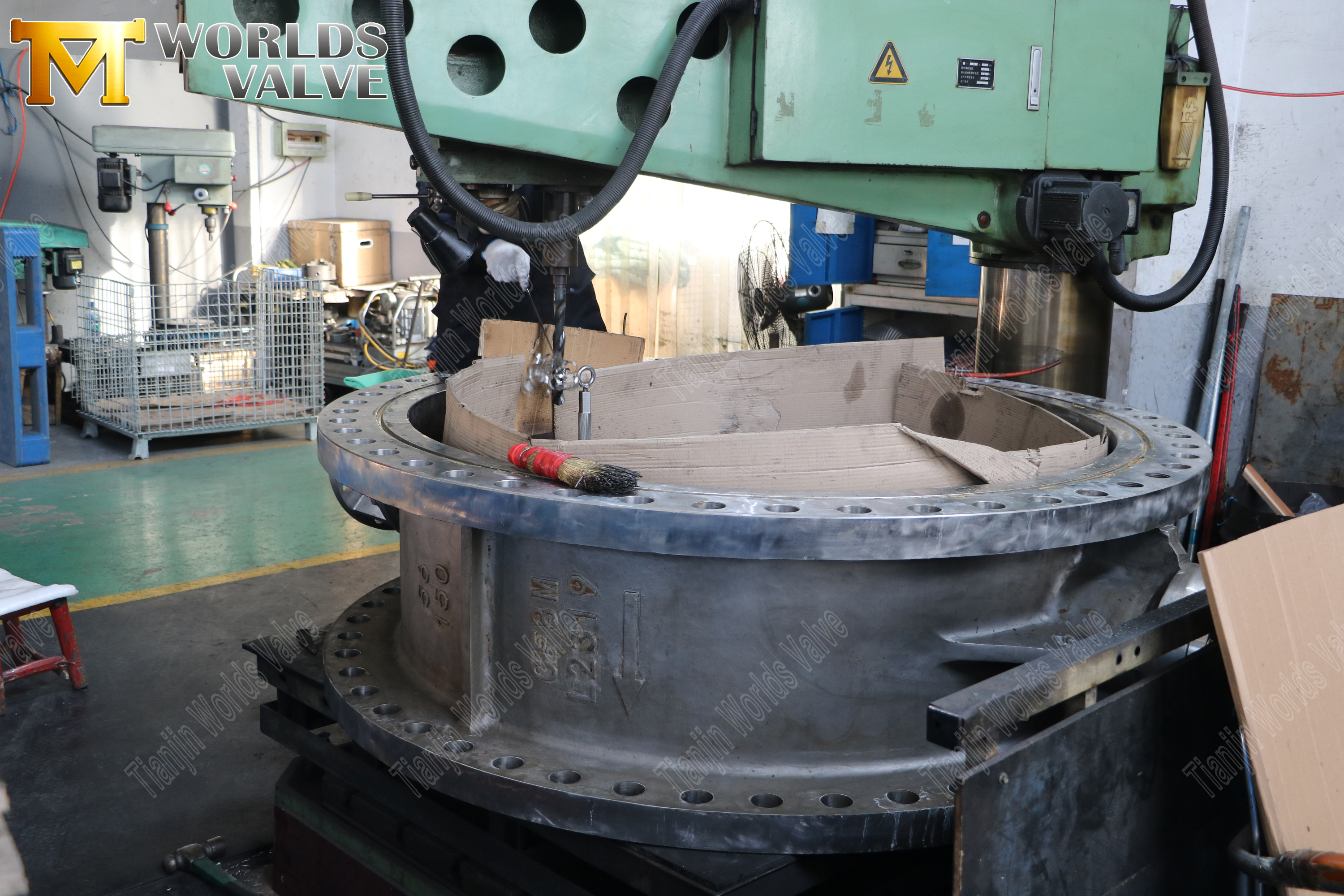 v&aacute;lvula dupla-comcentric-butterfly-3