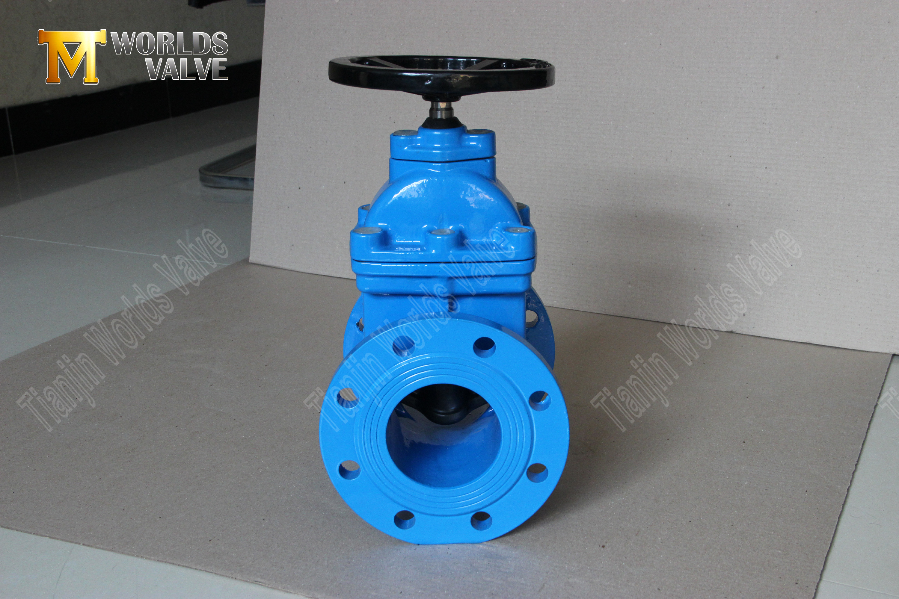 v&aacute;lvula de porta de assento resiliente com tipo de flange