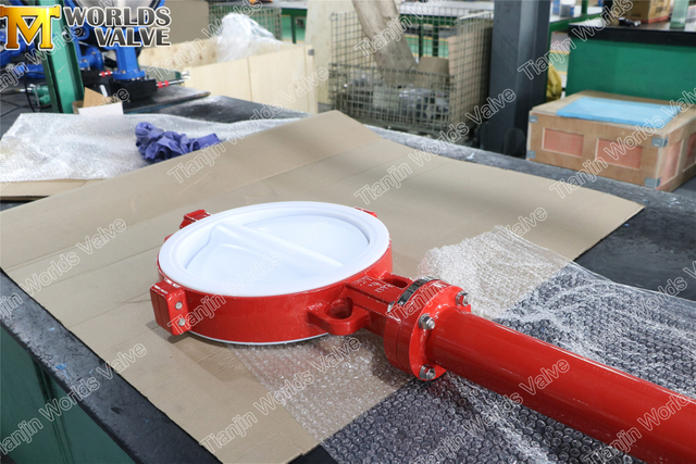 TEFLON FABRICANTES DE VÁLVULA BORTURAÇÃO LINADO