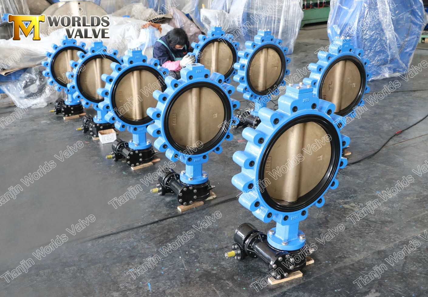 V&aacute;lvula de borboleta de 6 lug com caixa de engrenagens