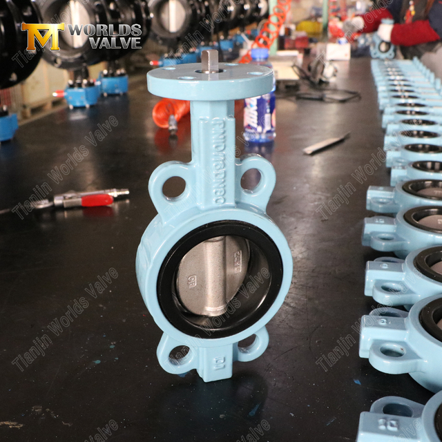 Válvulas borboleta tipo wafer de ferro dúctil | Fornecedor de válvula borboleta OEM