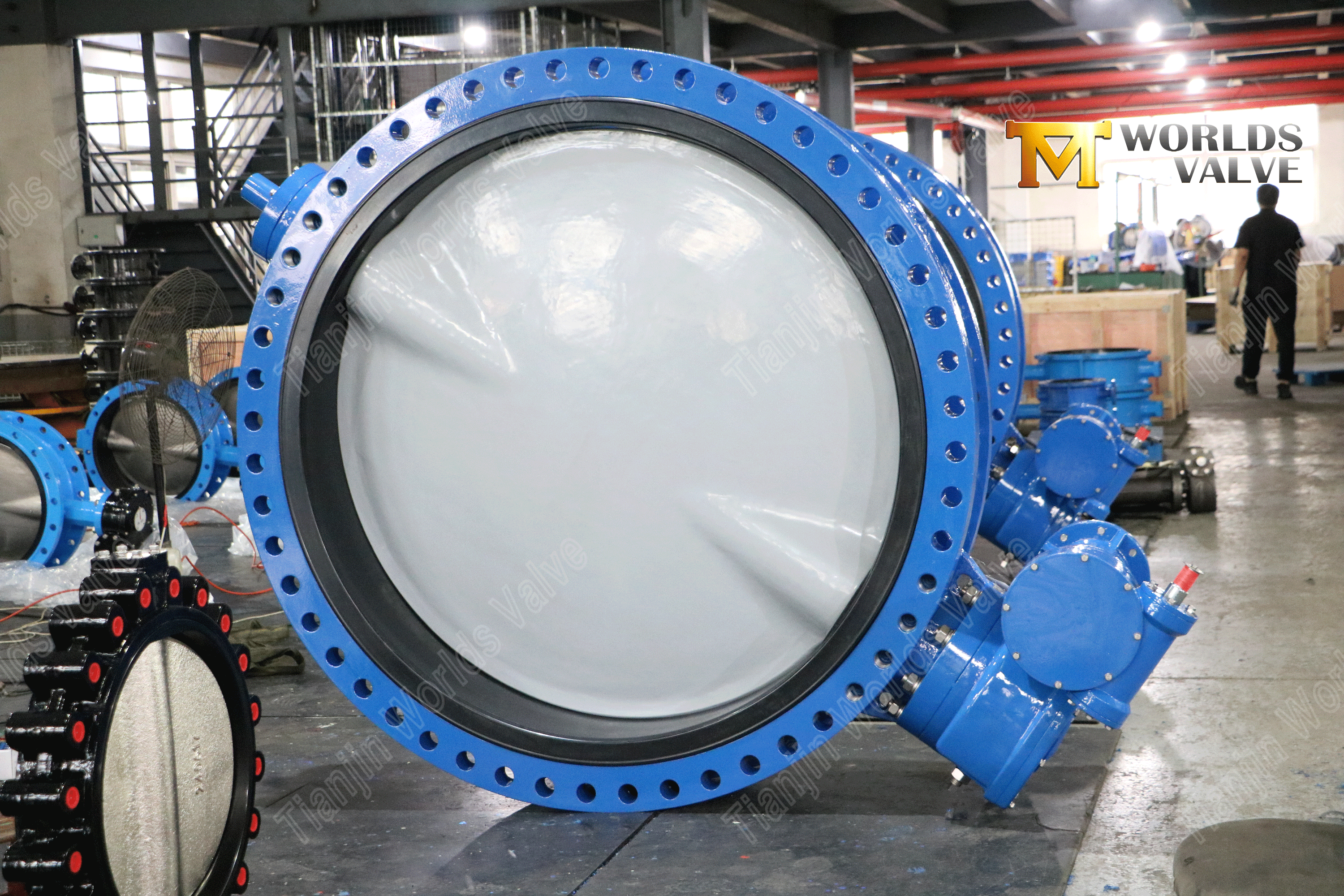 V&aacute;lvula borboleta tipo U para tratamento de &aacute;gua Disco revestido de nylon 11 op&ccedil;&atilde;o aprovada pelo WRAS (4)