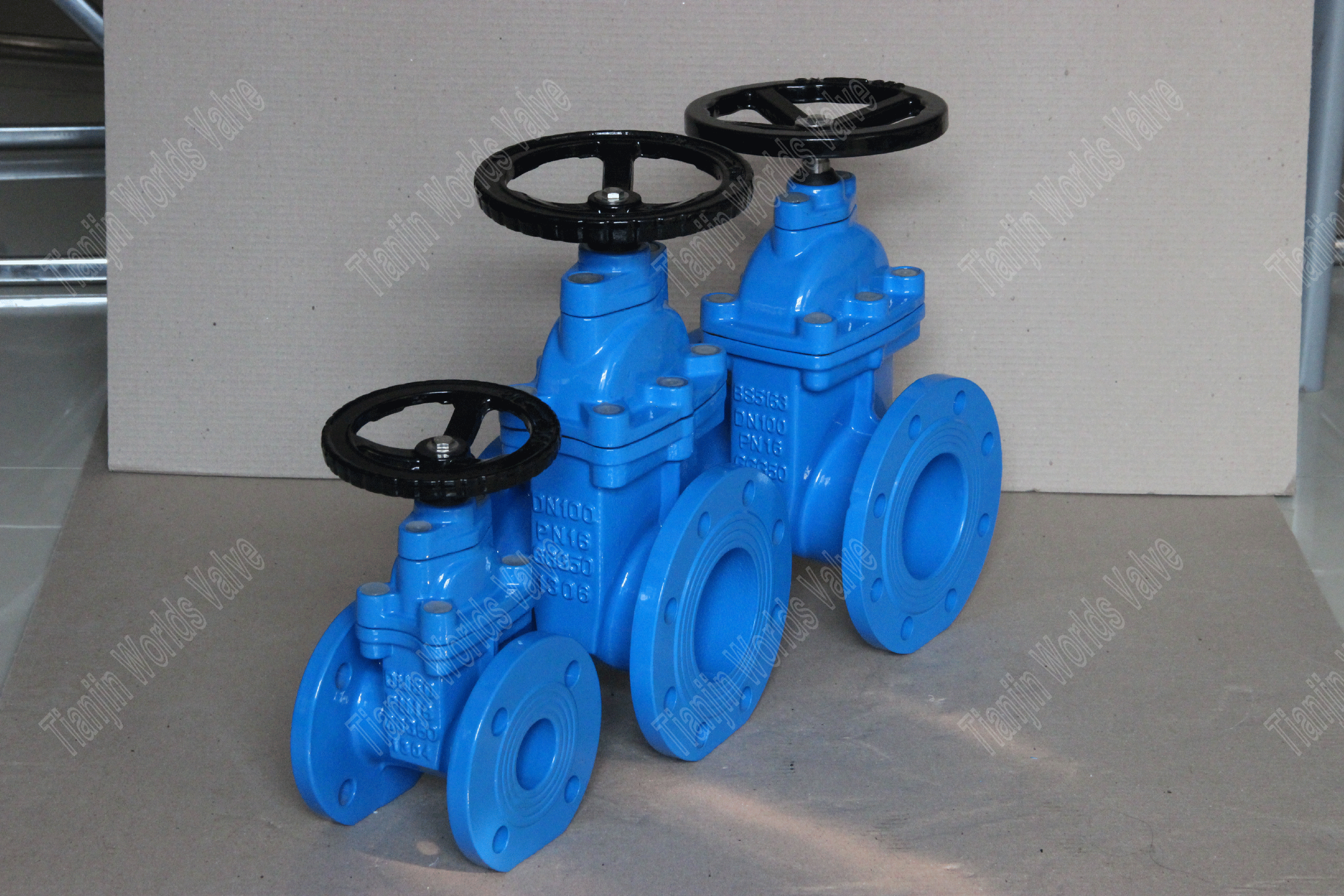 BS5163 EPDM sentado com v&aacute;lvulas de port&atilde;o n&atilde;o aumentadas (6)