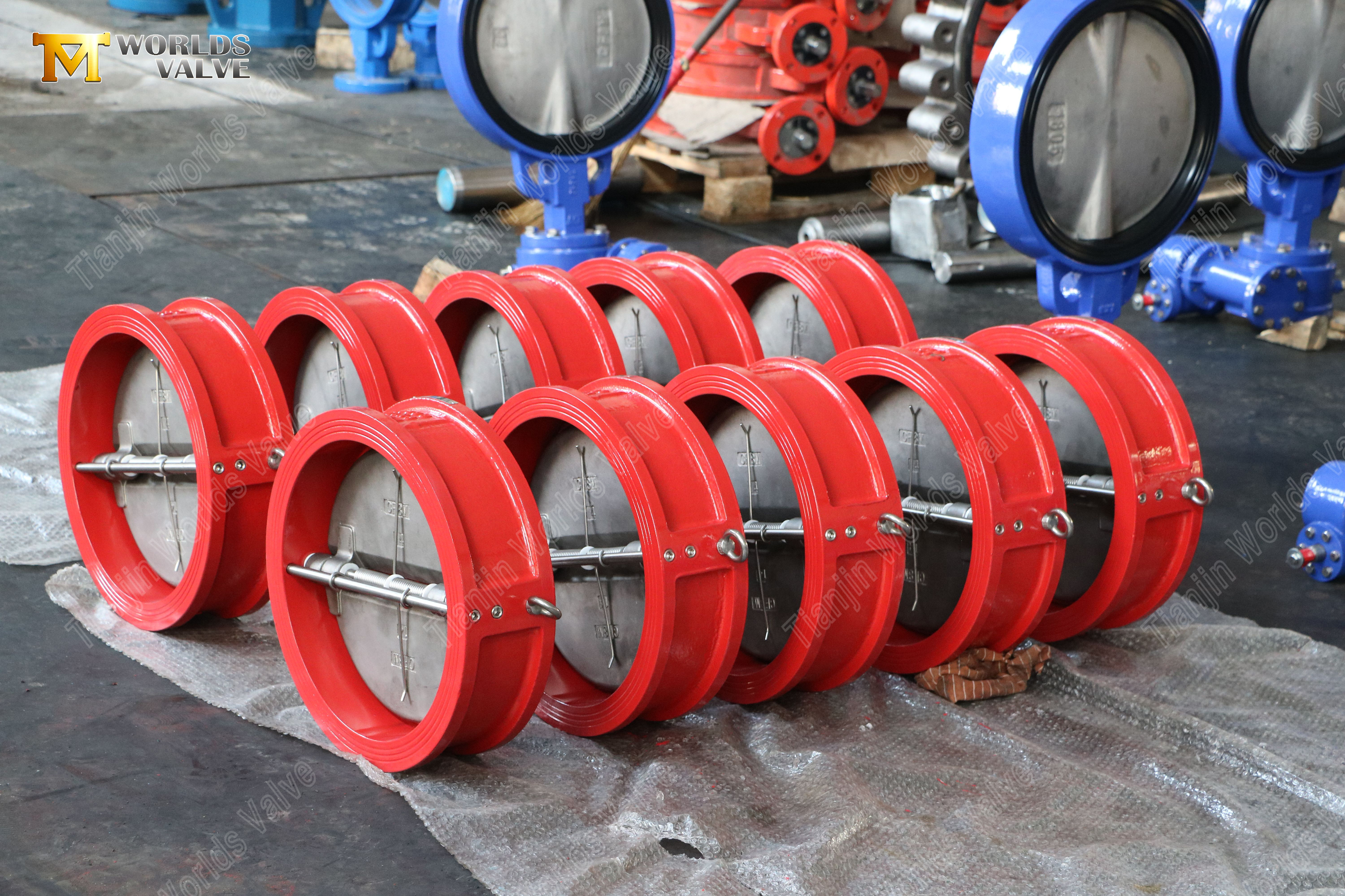 24-DN600-GGG40-Body-CF8M-Disc-Dual-Plate-Wafer-Check-Valve-PN10 - Fornecedor de v&aacute;lvula confi&aacute;vel-3