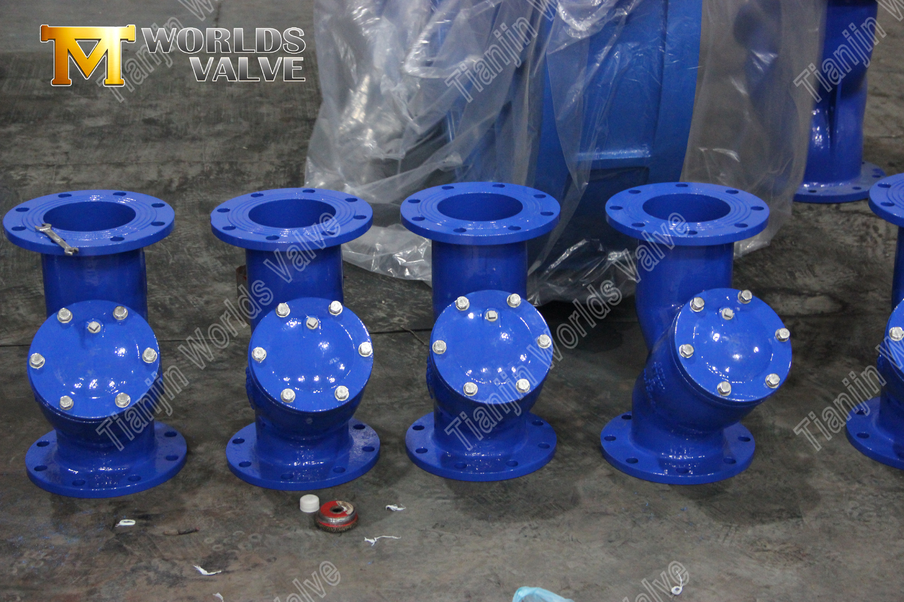 Filtro tipo Y flangeado WCB prote&ccedil;&atilde;o de tubula&ccedil;&atilde;o industrial de a&ccedil;o carbono (7)