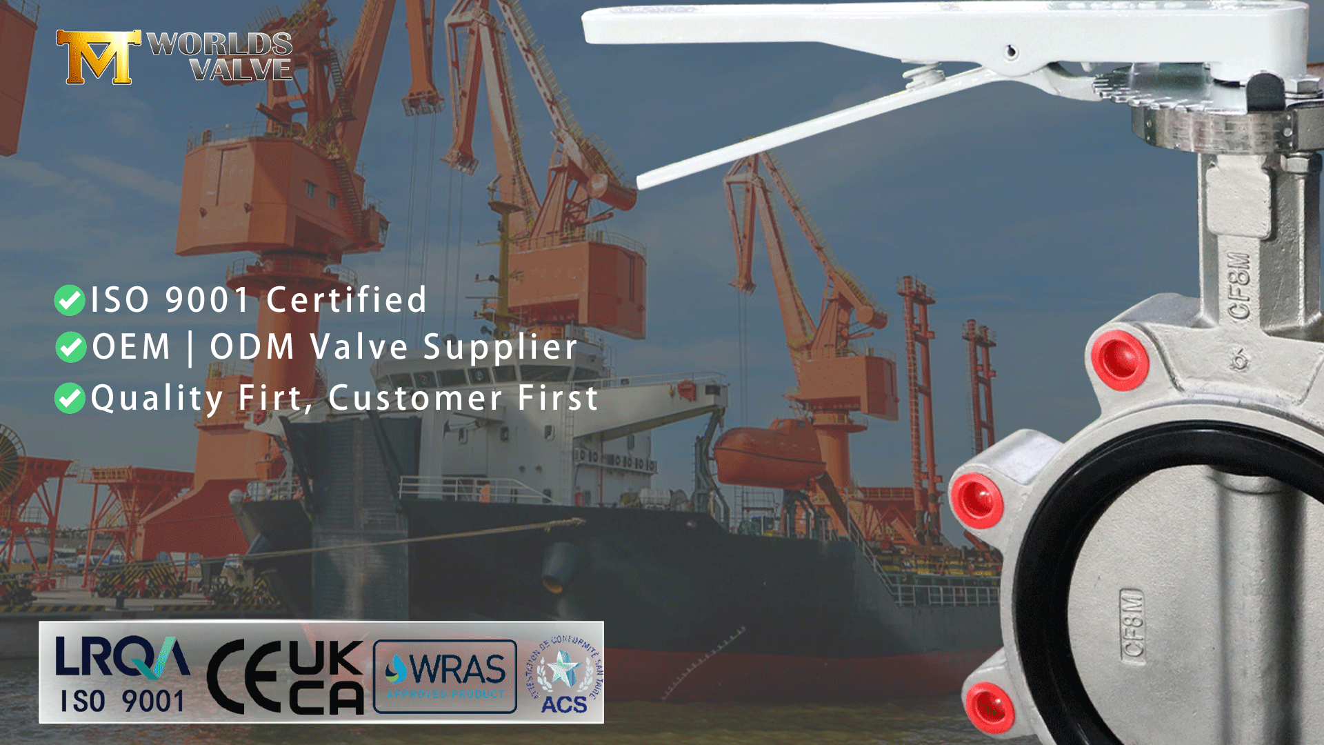 Válvula Borboleta Lug | Corpo e disco CF8M (316SS) | Operada por alavanca manual