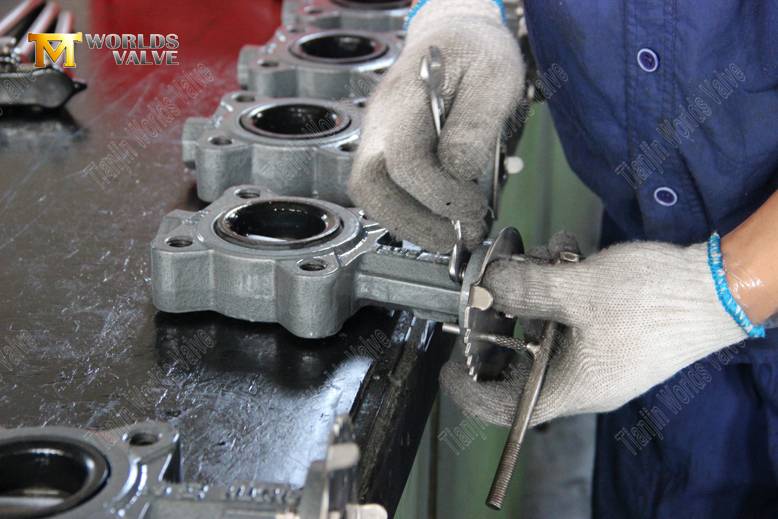 OEM ODM V&aacute;lvula Fabricante Estilo de Larro V&aacute;lvulas Butterfly Satured Butterfly (5)