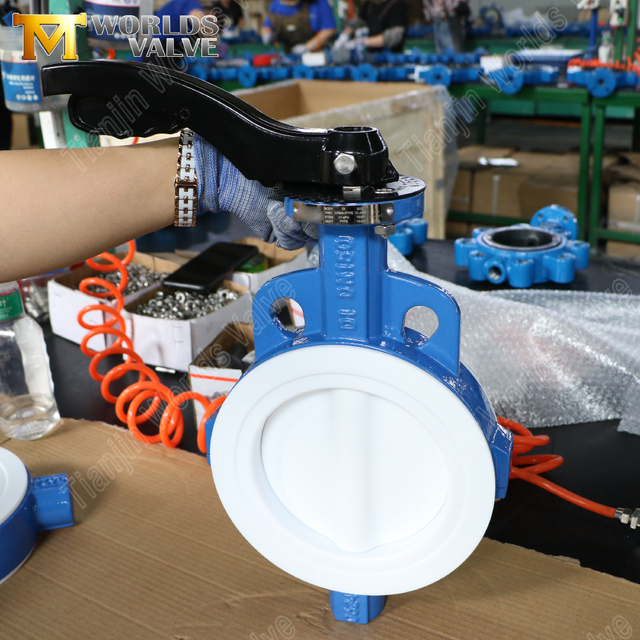 Válvula borboleta wafer de PTFE - disco encapsulado em PTFE, classe 150, fabricante OEM