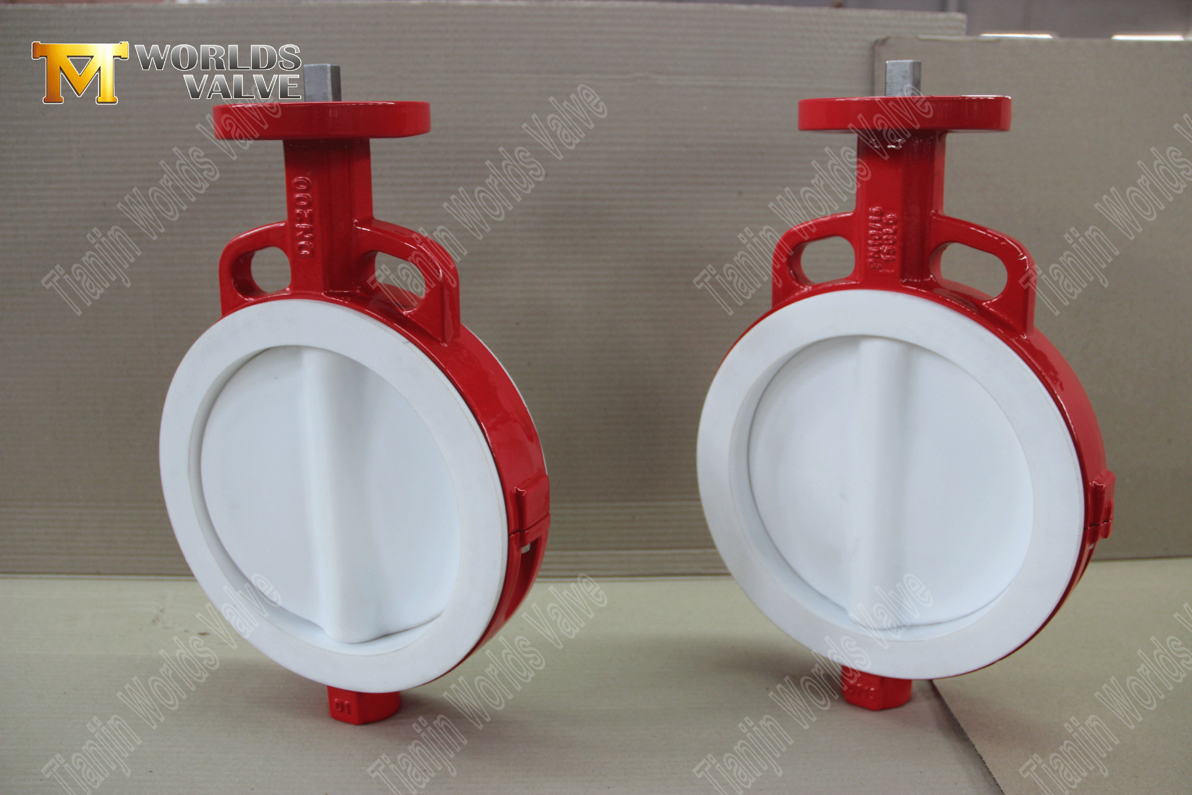 V&aacute;lvula borboleta wafer de PTFE - disco encapsulado em PTFE, classe 150, fabricante OEM (2).png