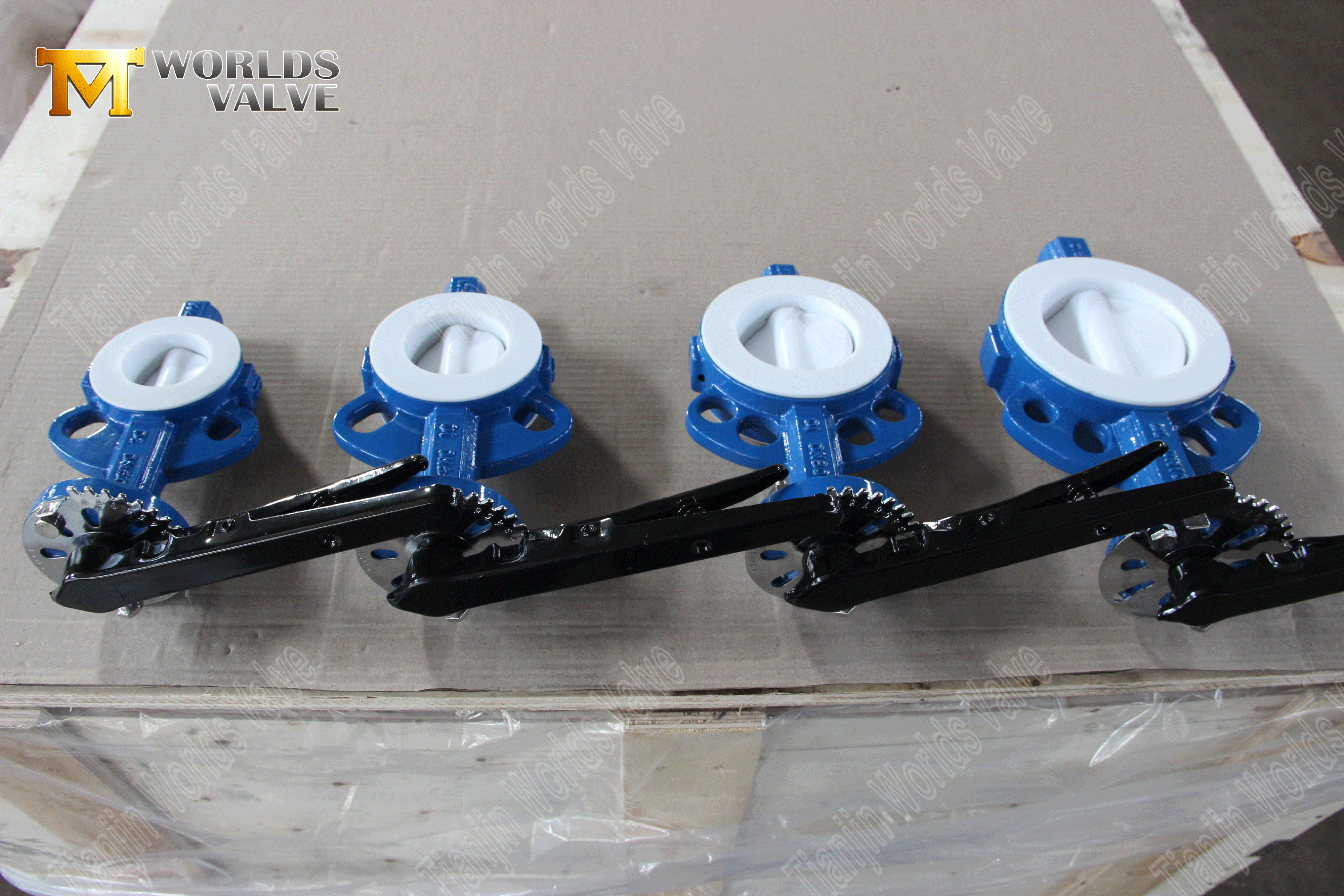 F&aacute;brica de v&aacute;lvulas borboleta tipo wafer com revestimento de PTFE da China (7).png