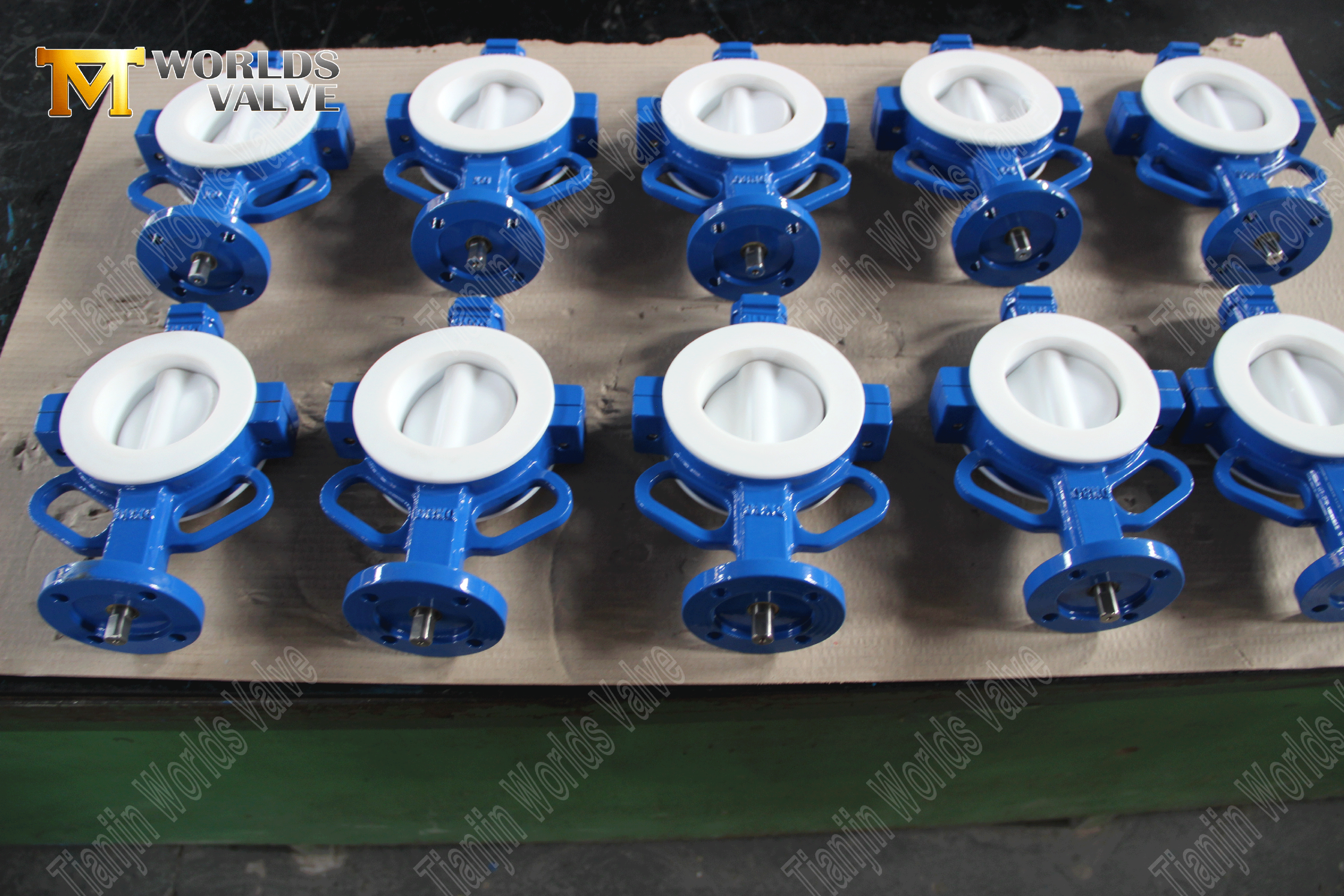 V&aacute;lvula borboleta wafer de PTFE - disco encapsulado em PTFE, classe 150, fabricante OEM (1).png