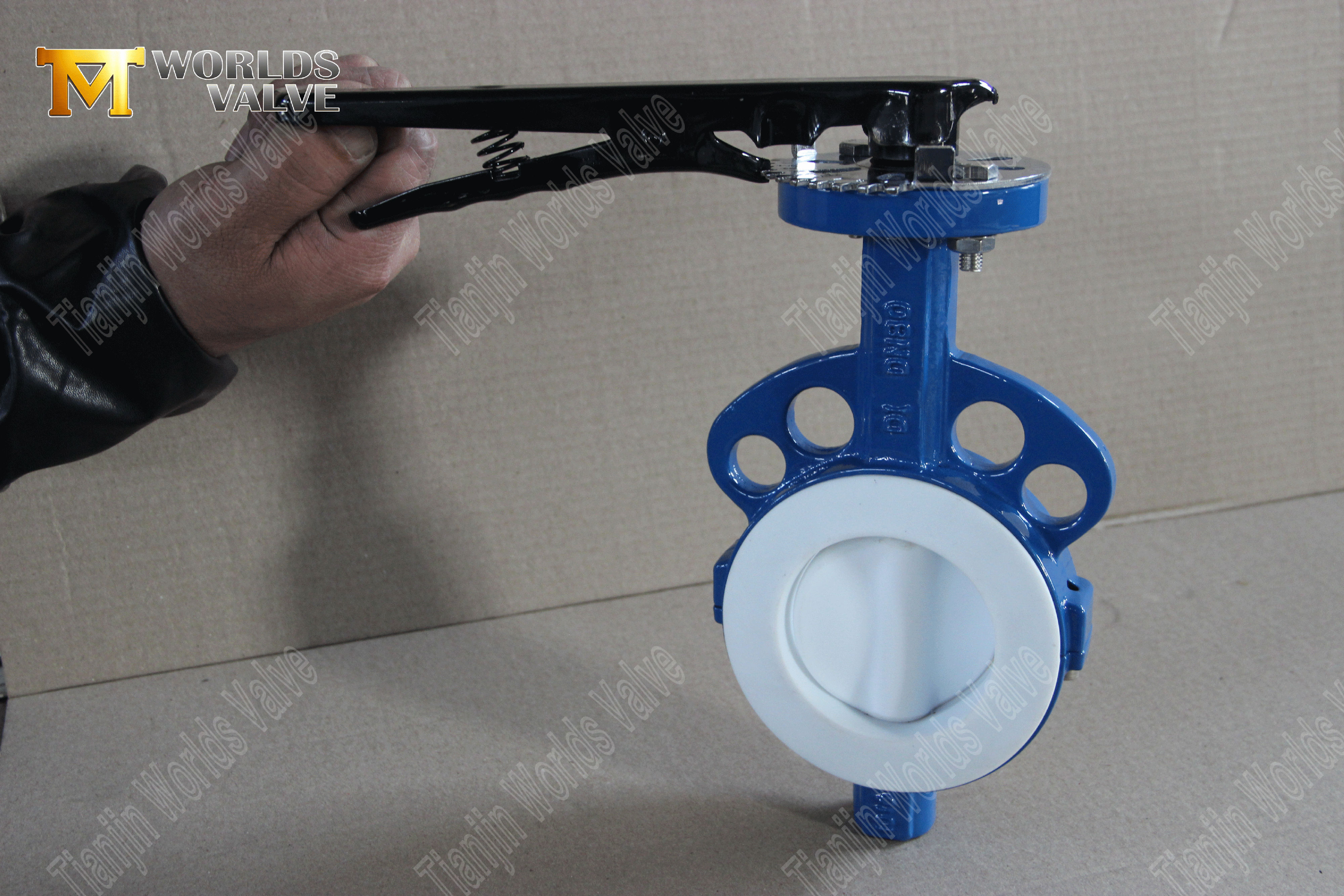 V&aacute;lvula borboleta wafer de PTFE - disco encapsulado em PTFE, classe 150, fabricante OEM (3).png
