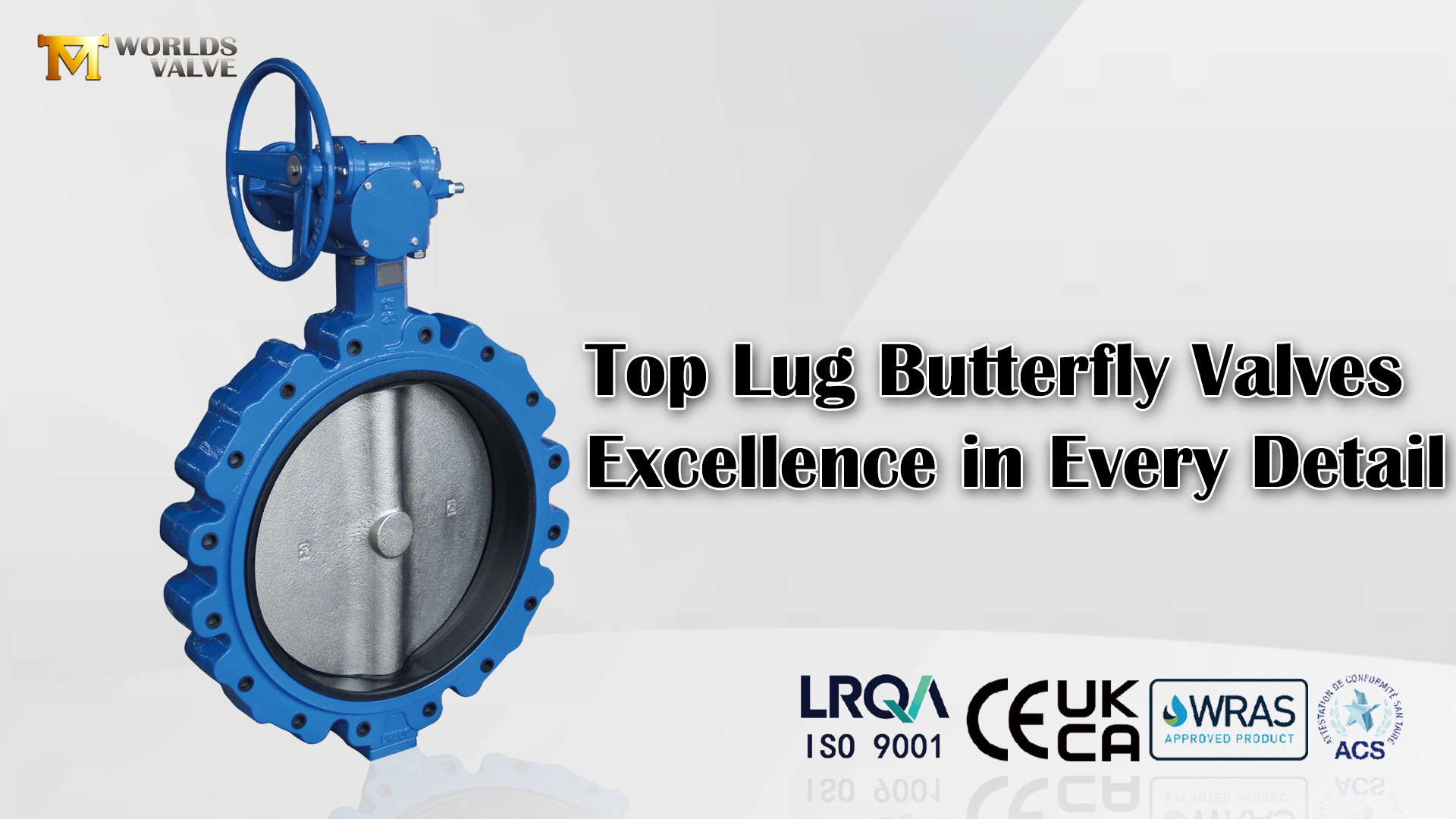Válvula borboleta lug de 20 polegadas | Corpo e disco DI, assento EPDM | Operador de engrenagem helicoidal