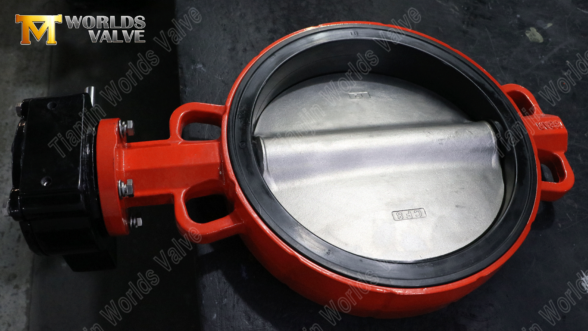 Válvula borboleta wafer | Corpo DI | Disco CF8 | Assento EPDM substituível | Personalização OEM